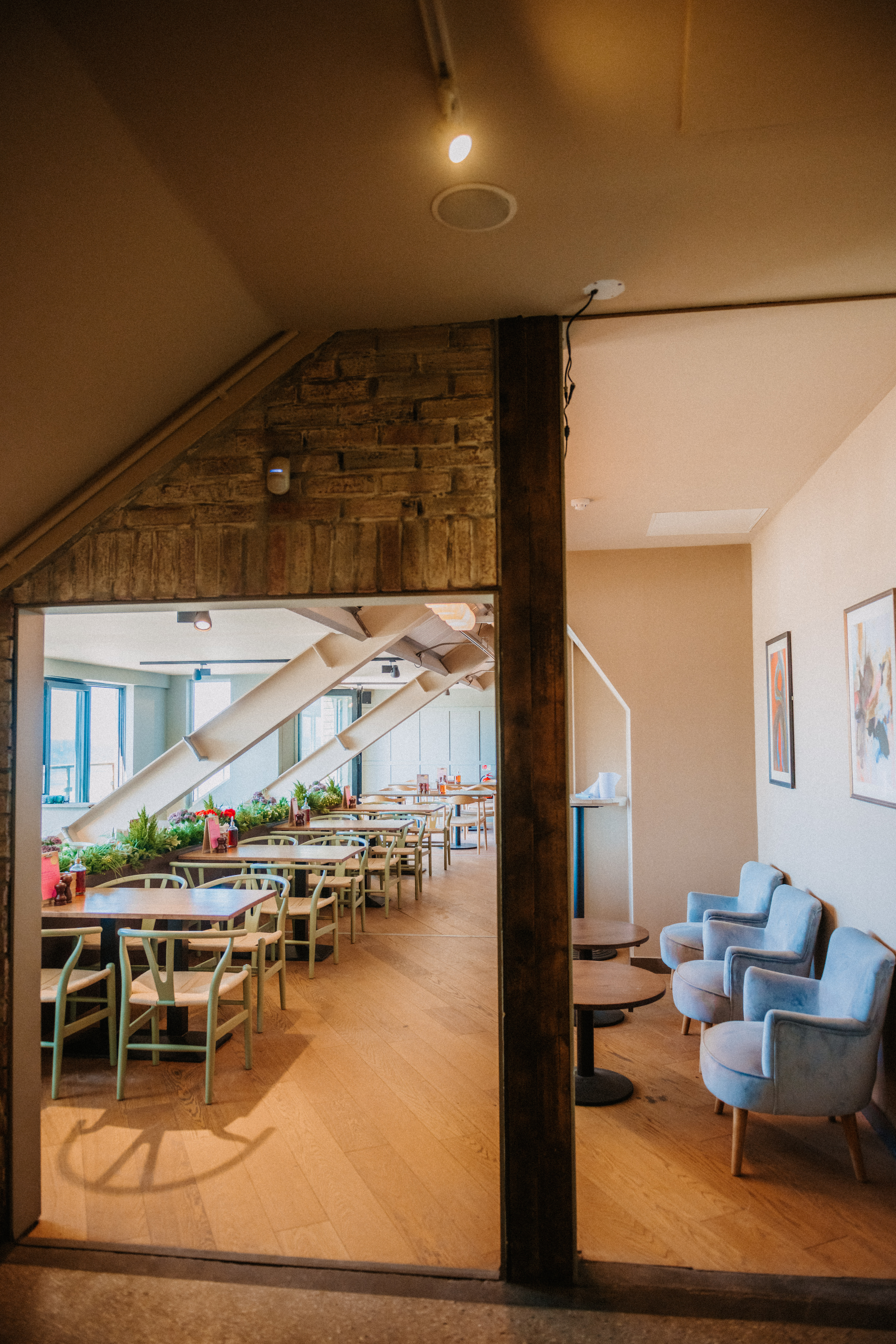 Longboard Bar  - w3ih5tk2br1.jpg