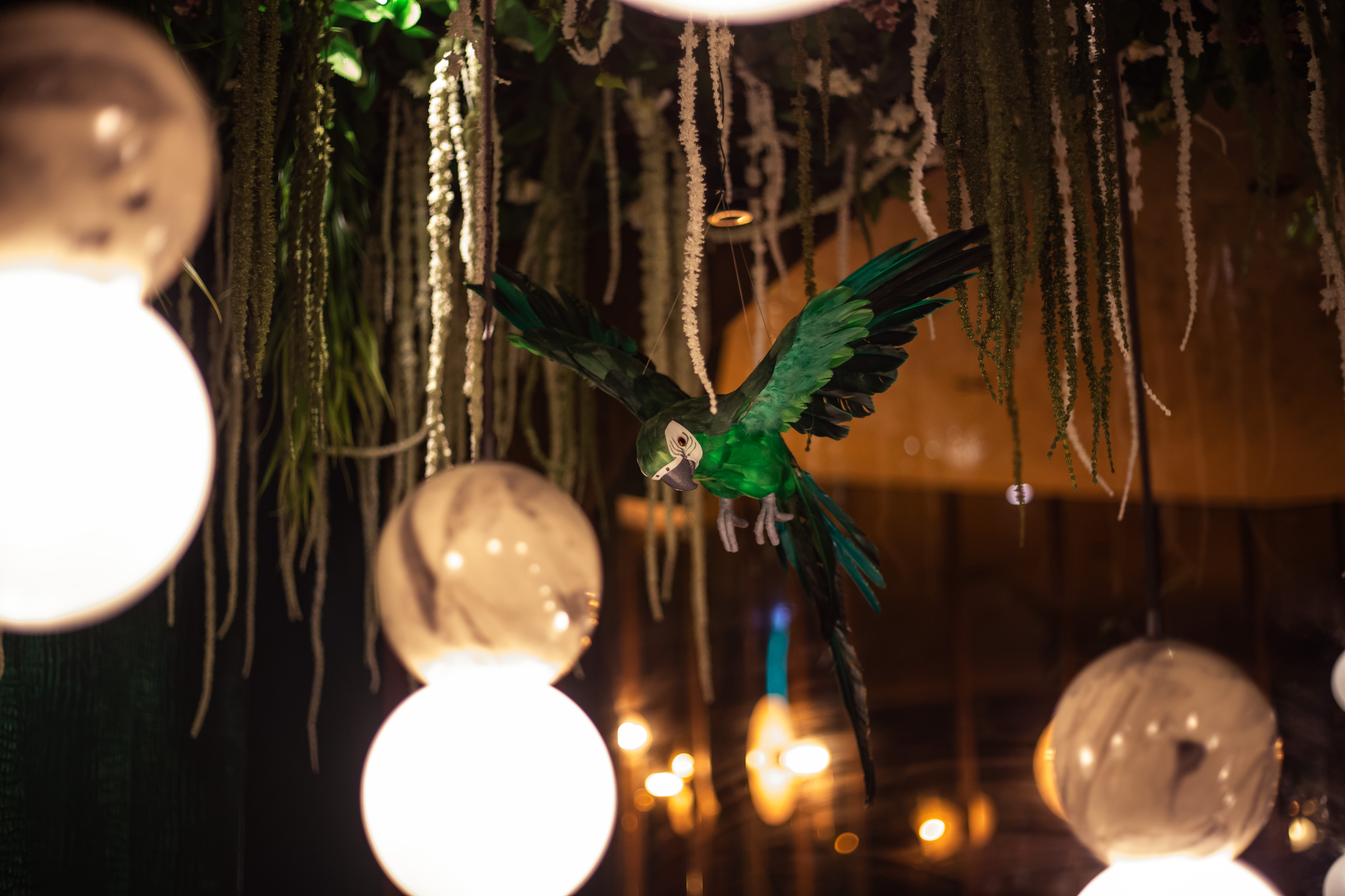 Sican  - dwrg0lqhrtl.jpg