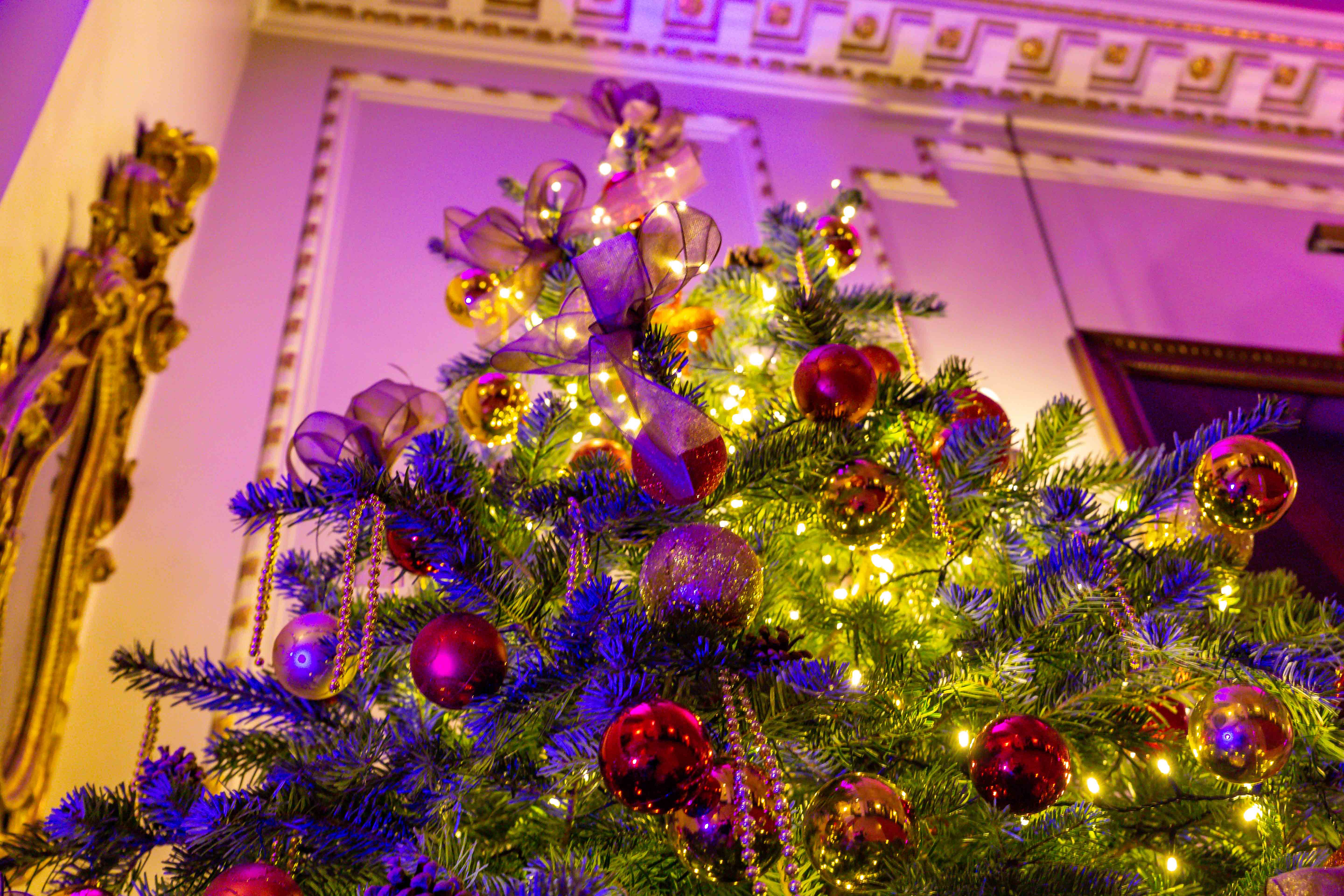 Christmas at Stationers' Hall - 1fur3sqwd3e.jpg