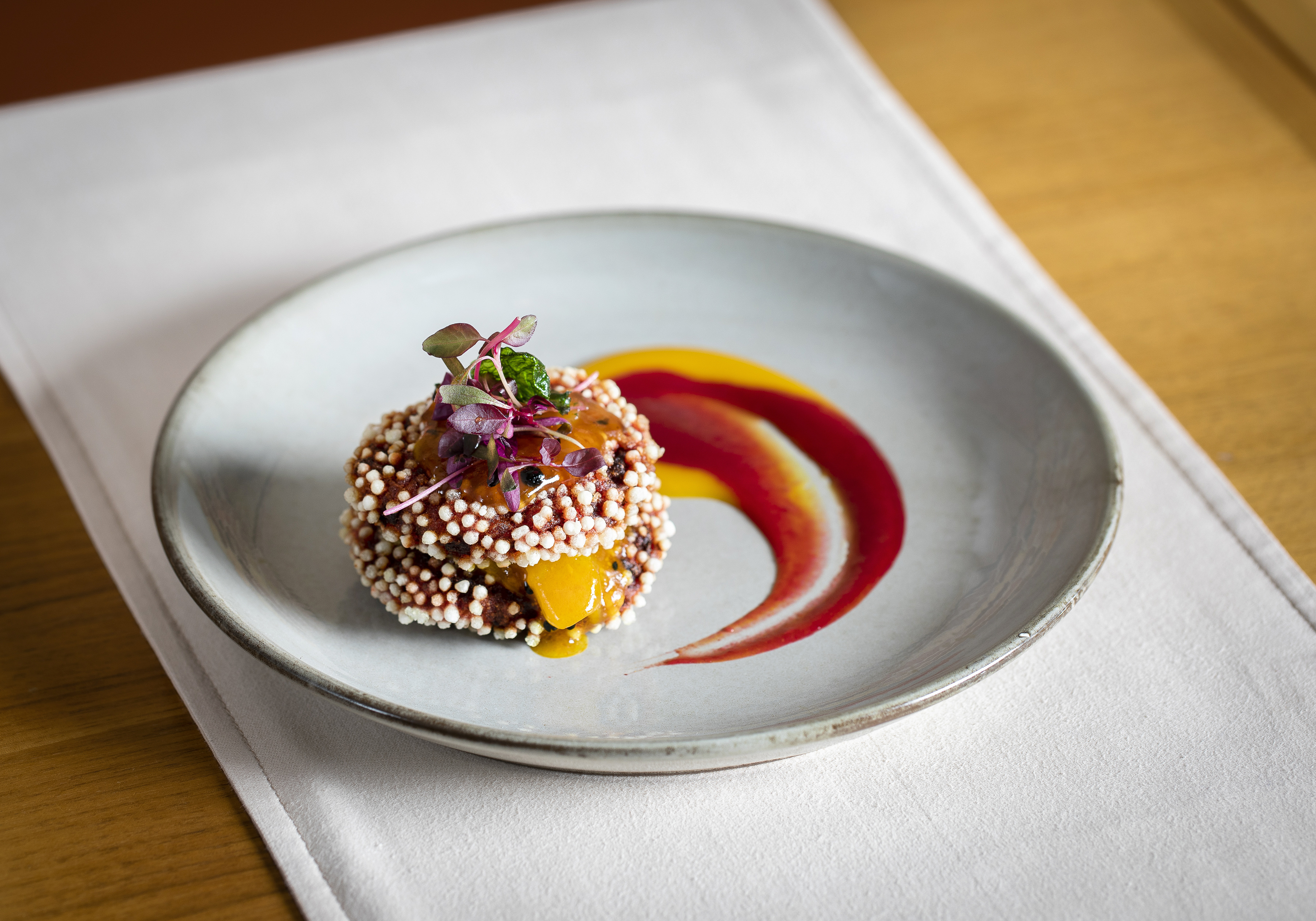 Babur's Marquee  - 55n32iripgl.jpg