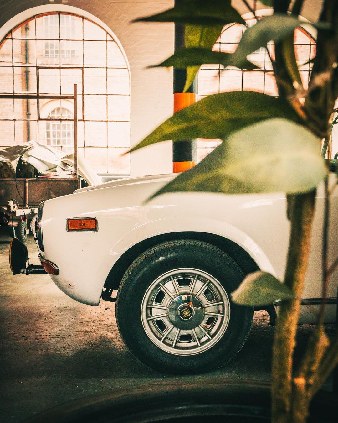 Vintage car partially hidden by plant in unique industrial event space.