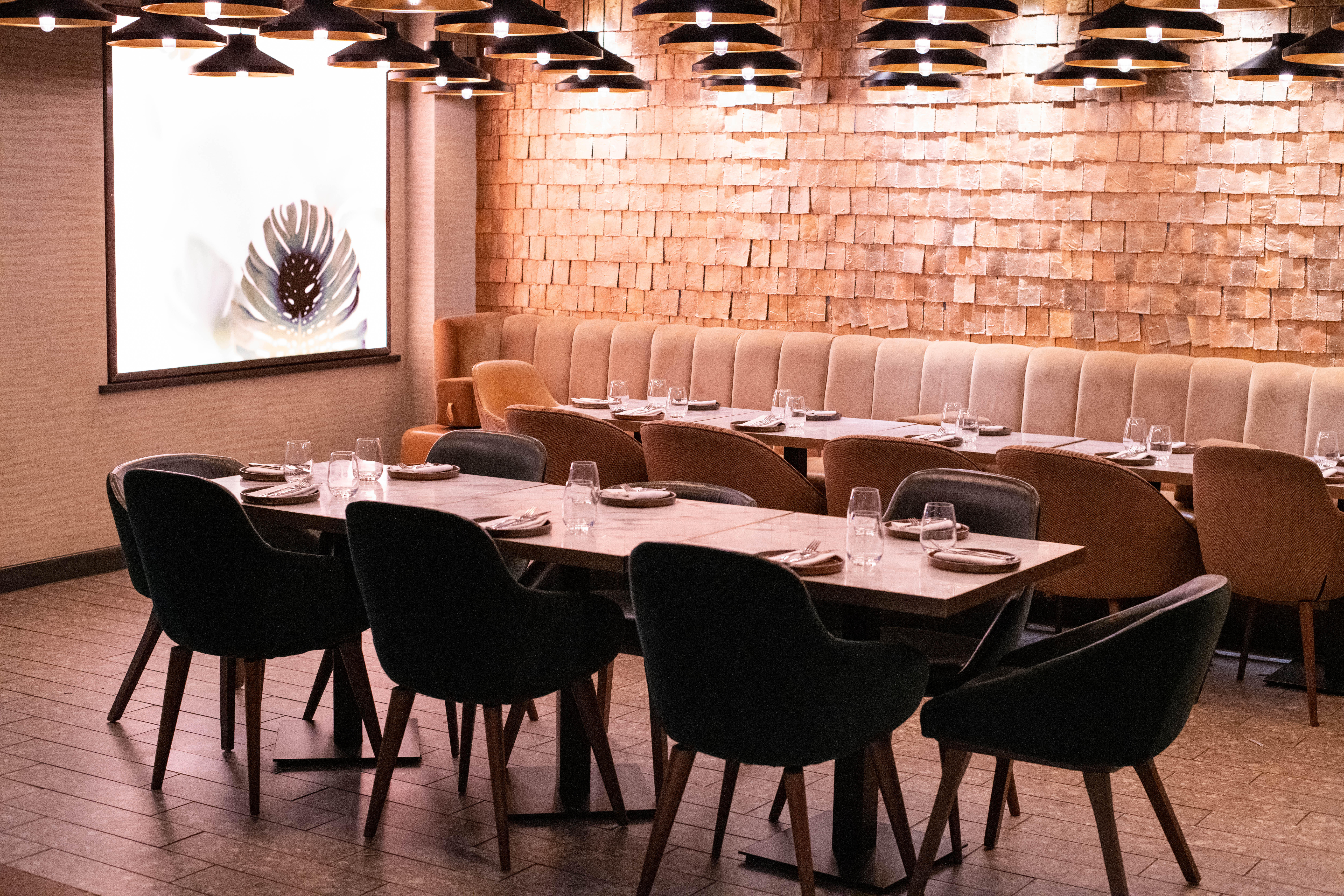 Lower Ground - ao5nbivyadk.JPG