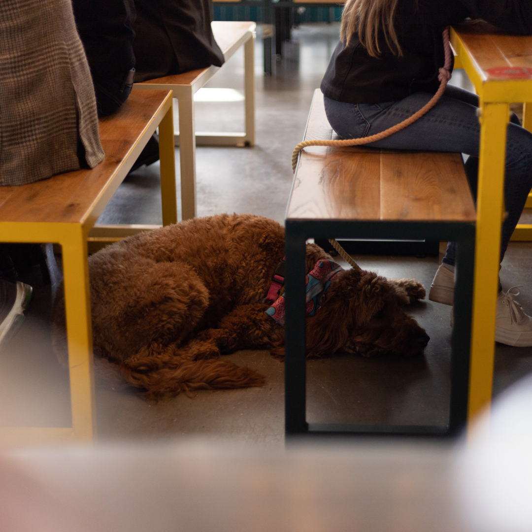 Elevated Level - fs5azrh42fx.png