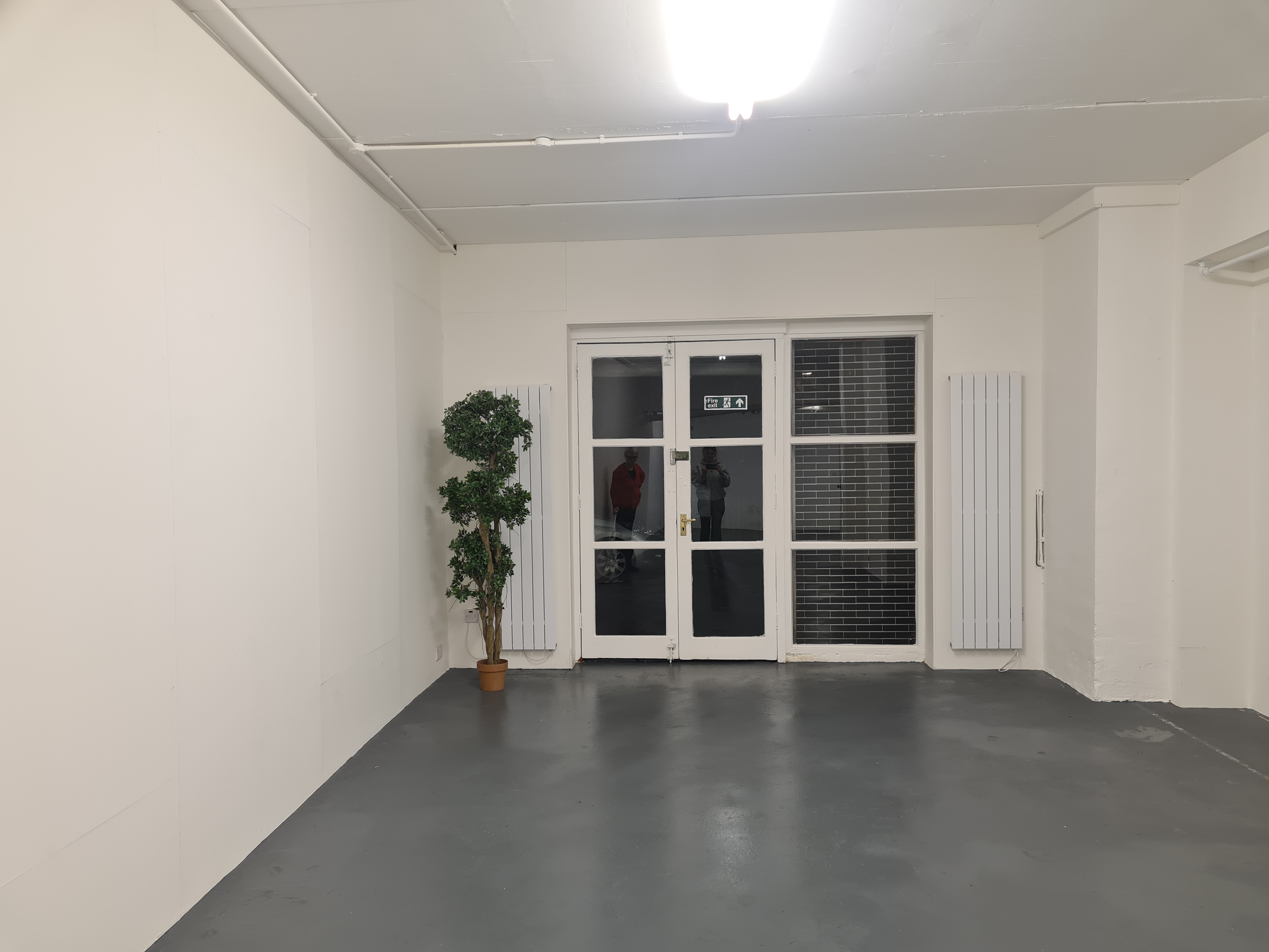 Minimalist event space in B. T. Batsford Gallery with natural light and potted plant.
