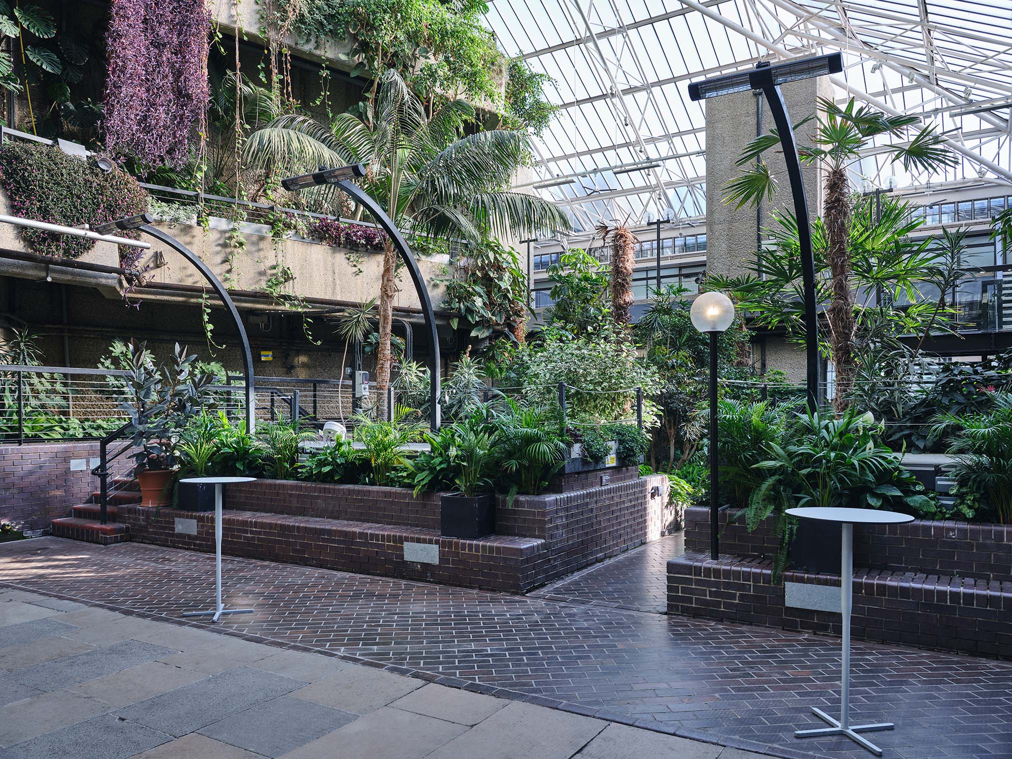 The Conservatory - 0wxiicgzipo.jpg