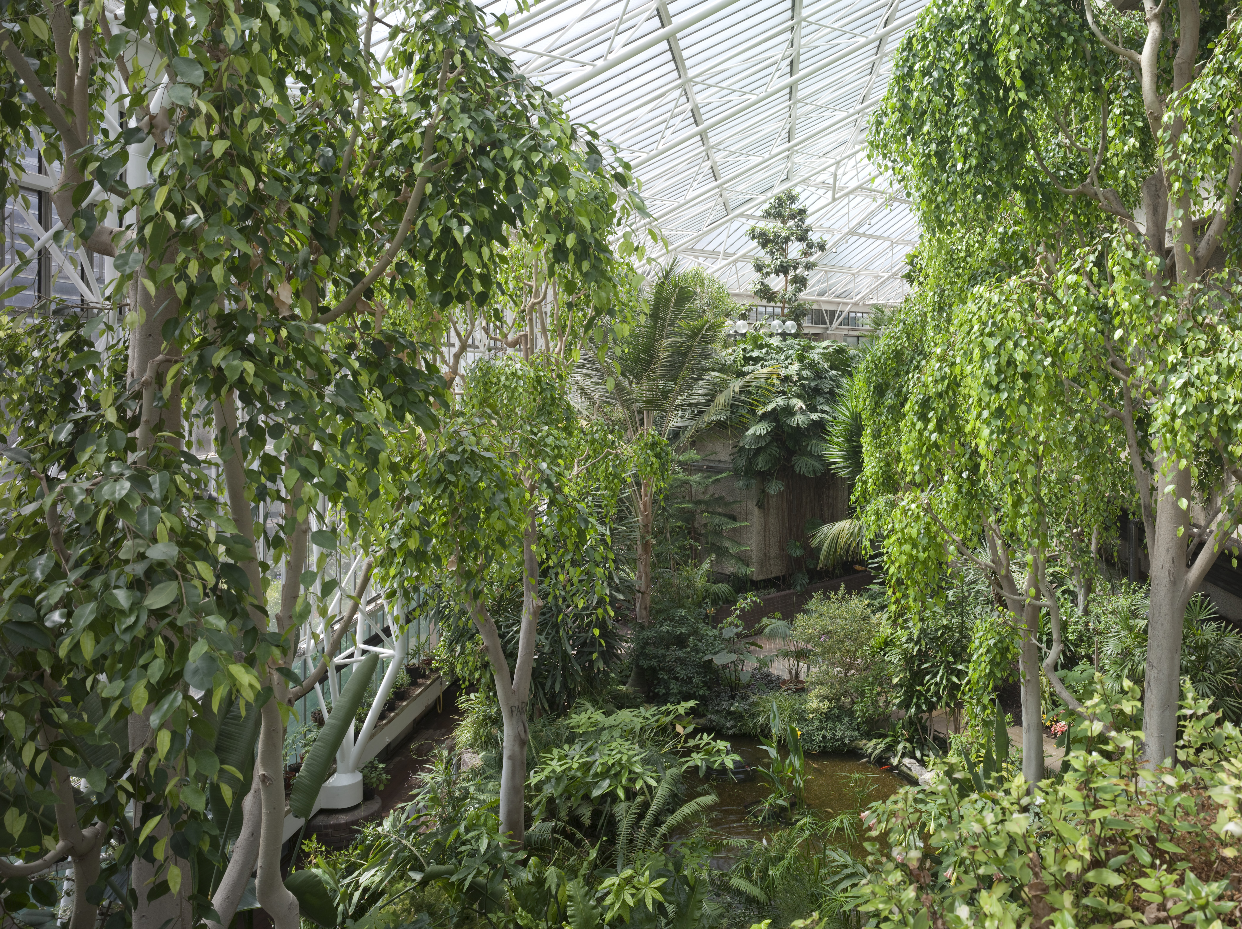 The Conservatory - ihtub1wroxp.jpg