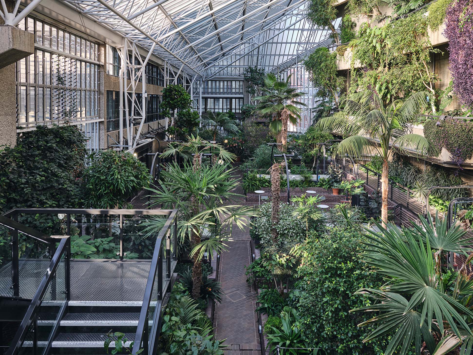 The Conservatory - wyh1ls1snzv.jpg