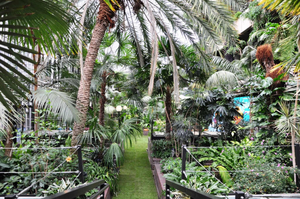 The Conservatory - zvraqyeobmv.JPG