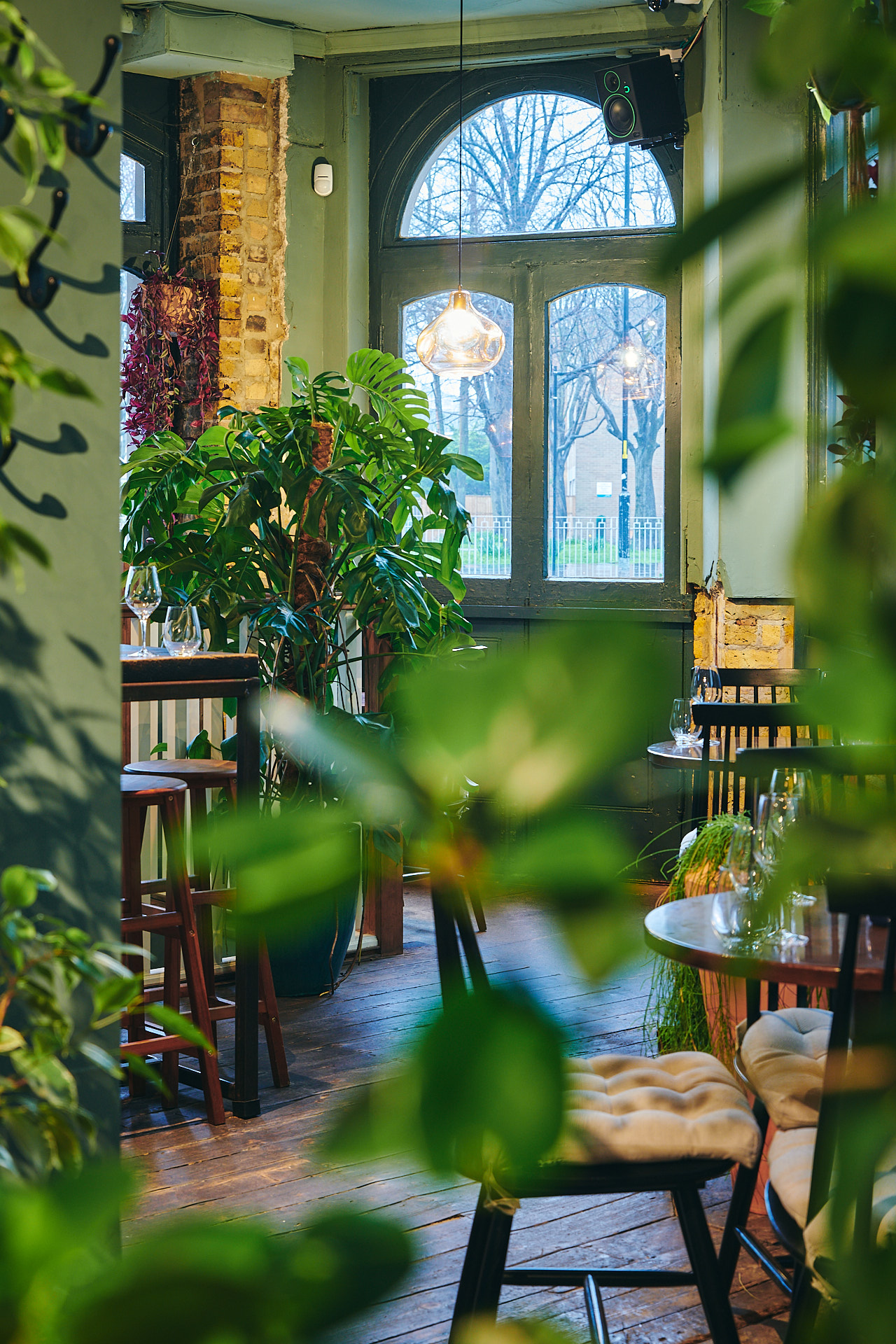 Vibrant greenery venue for intimate gatherings and networking events in Diogenes the Dog.