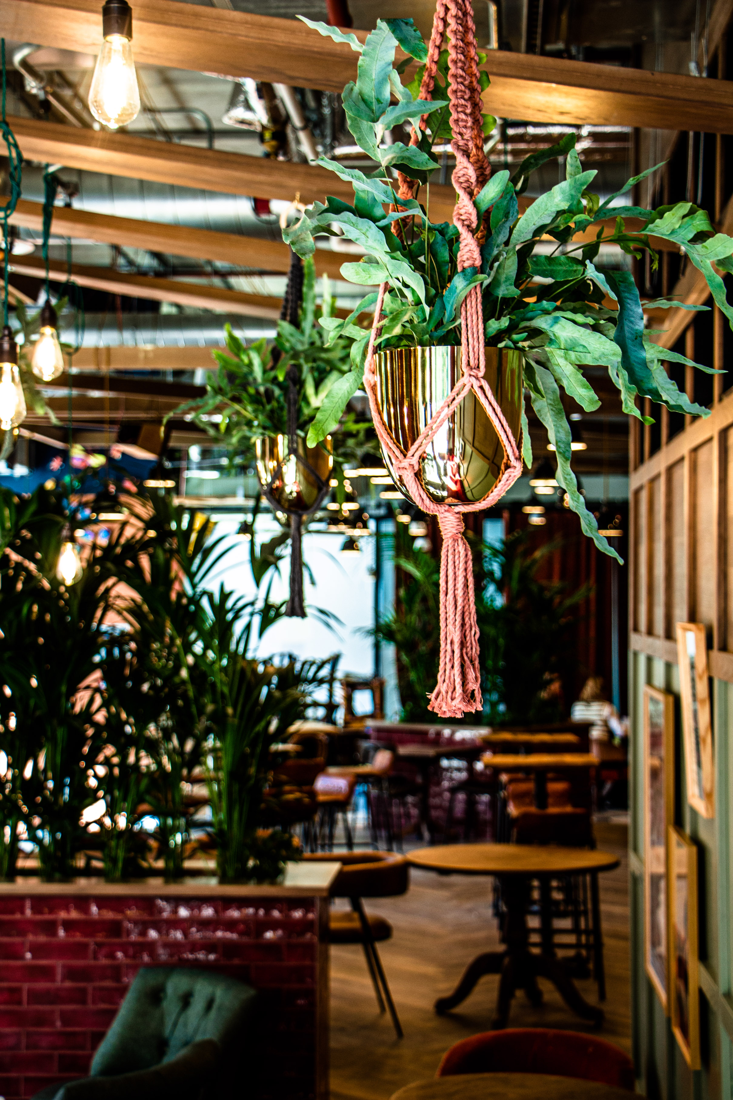 Vibrant Outpost Entire Venue with lush greenery, perfect for events and gatherings.