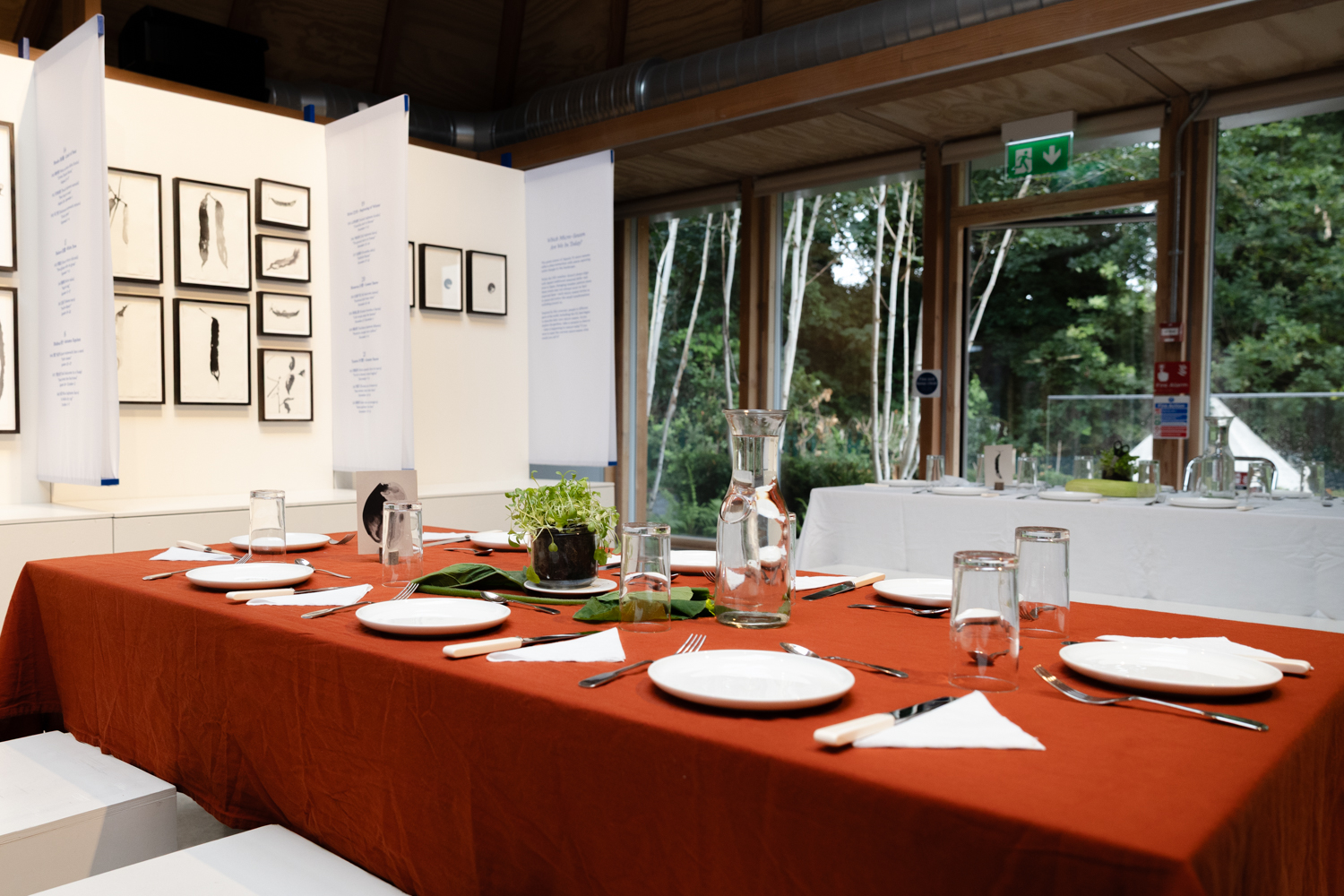 Omved Gardens - image 6