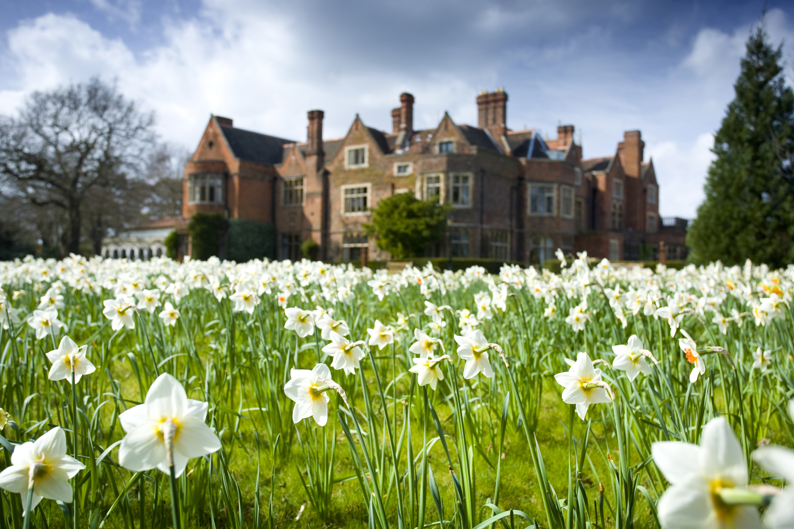Edwardian Ballroom at Warren House Hotel, elegant venue with blooming daffodils for weddings.
