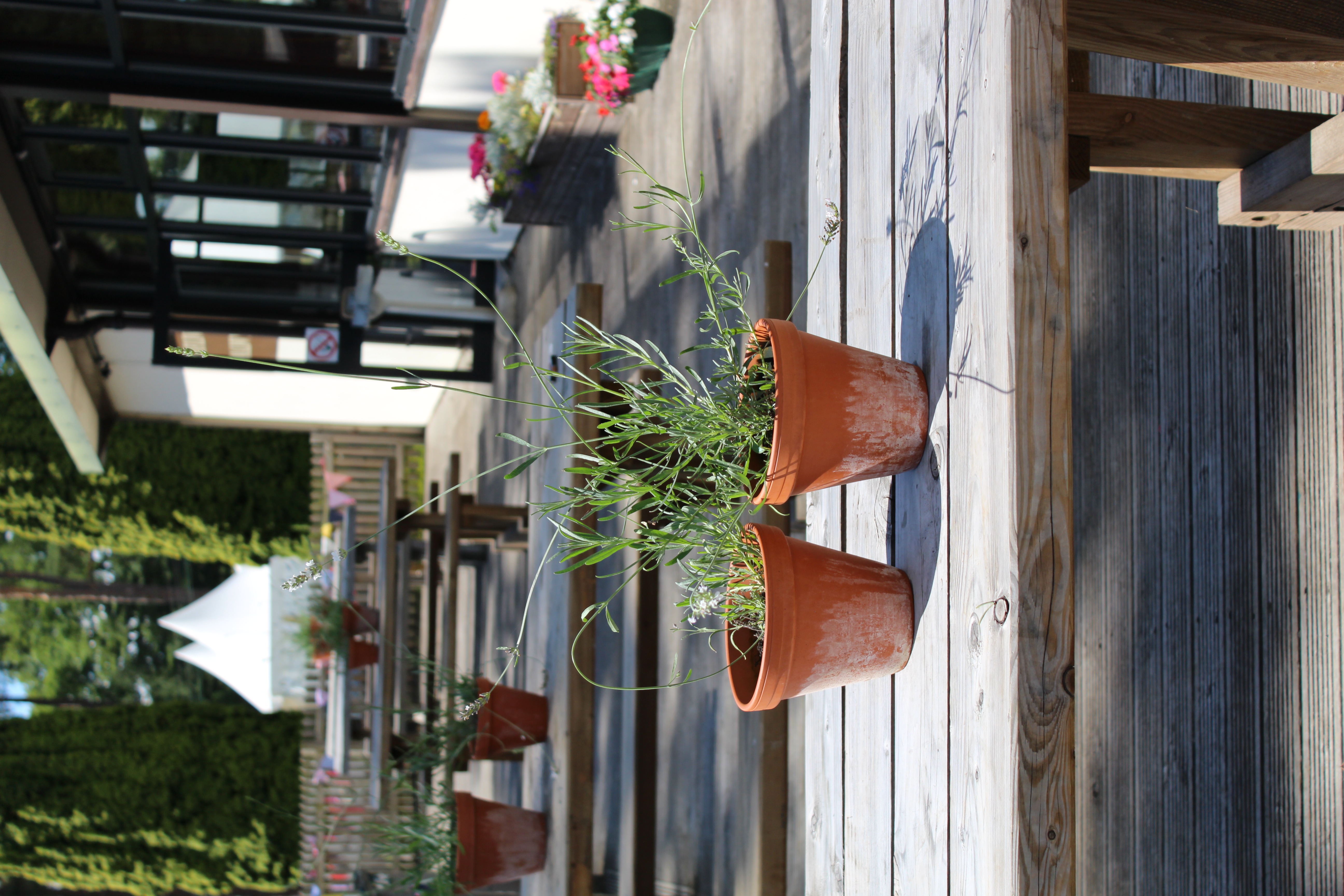 Montgomeryshire Pavilion with terracotta pots, ideal for outdoor meetings and events.