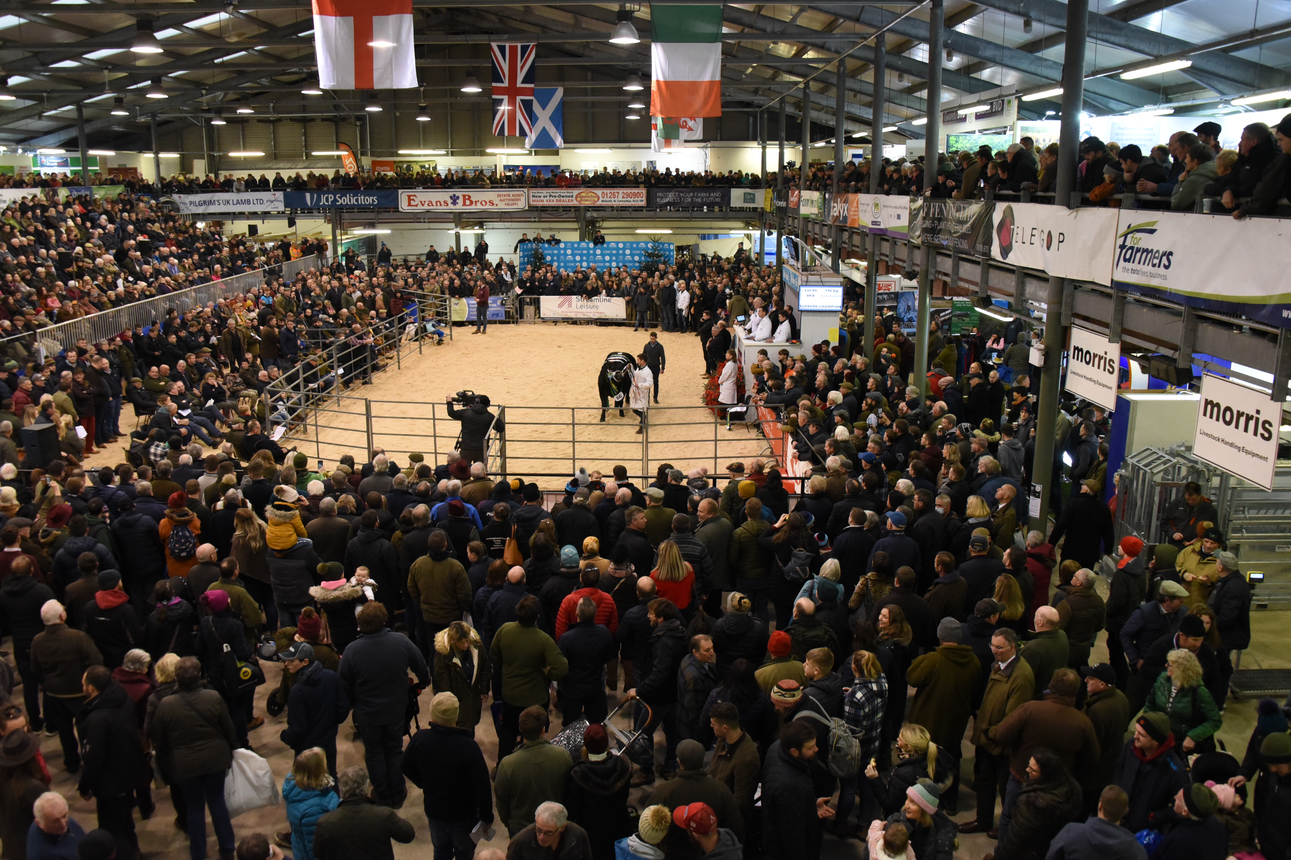 Exhibition Hall at Royal Welsh Showground, bustling crowd at agricultural auction event.