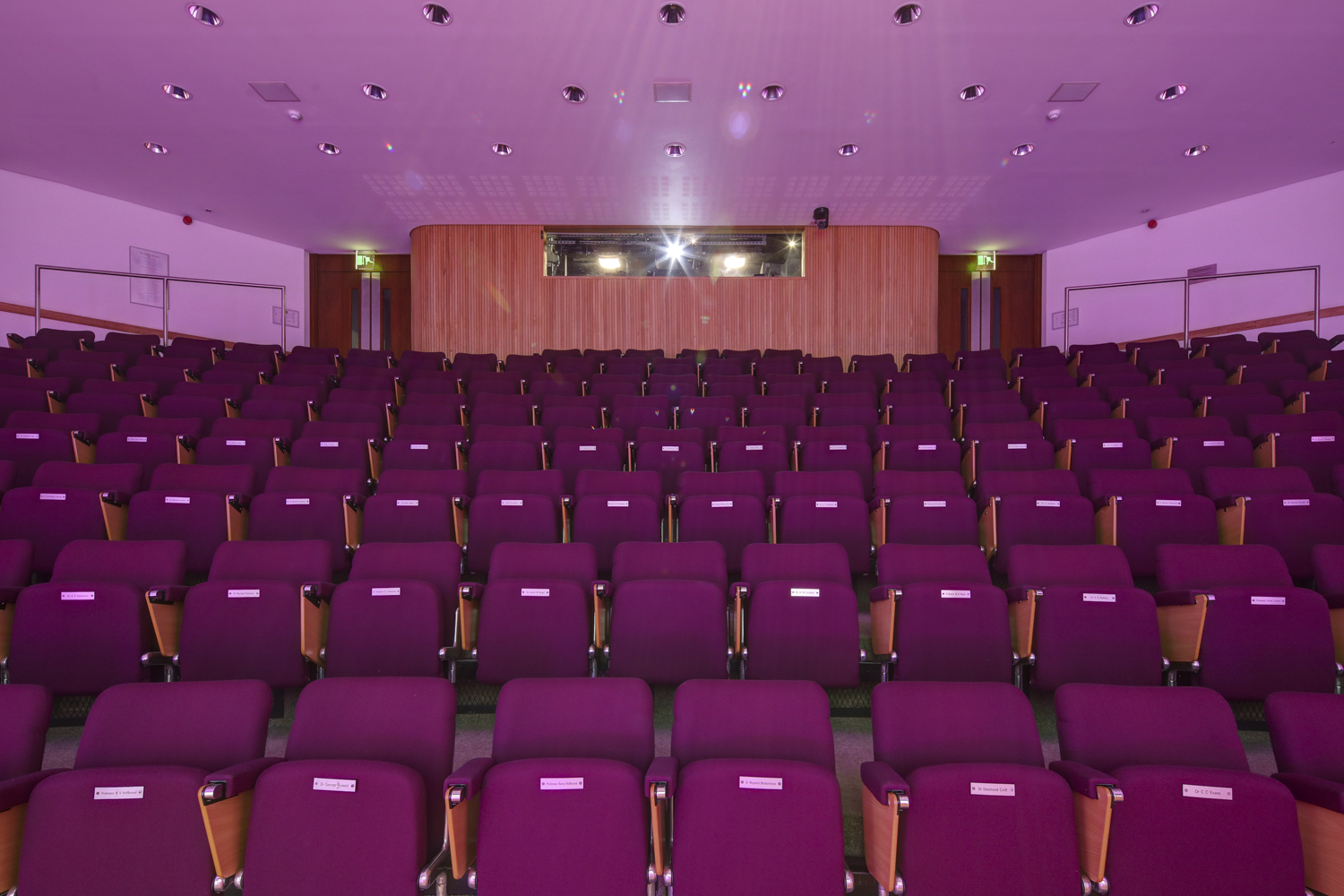 Seligman Theatre auditorium with purple seating, perfect for conferences and presentations.