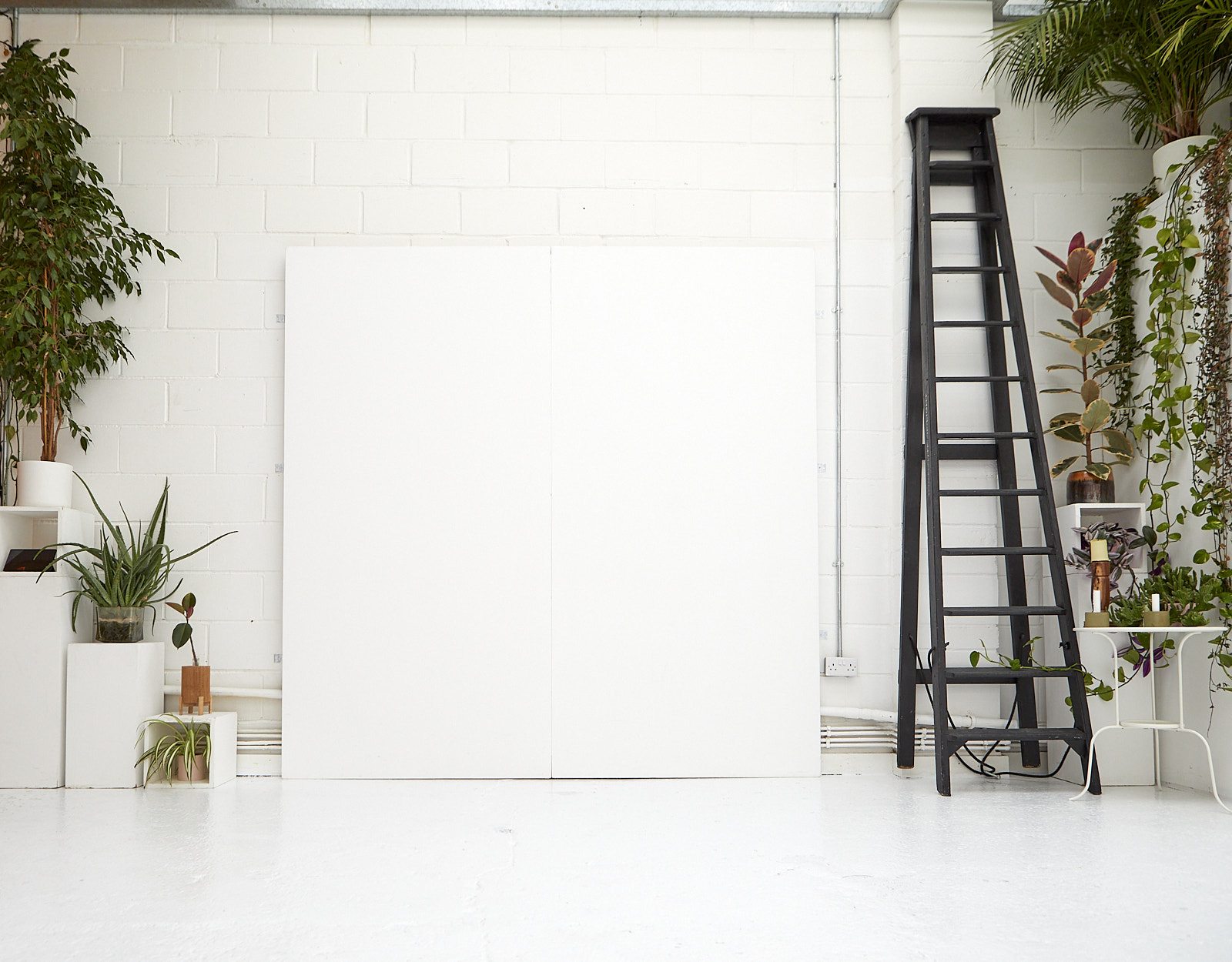 Versatile Peanut Factory Studio with white backdrop and greenery for events and presentations.