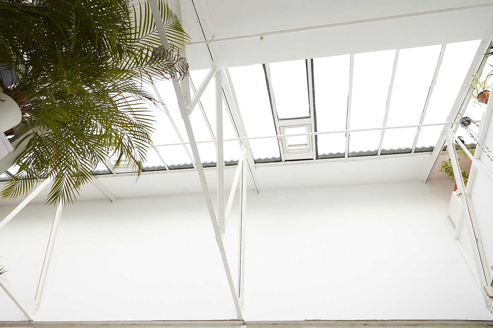 Bright Peanut Factory Studio with glass ceiling, ideal for creative meetings and events.