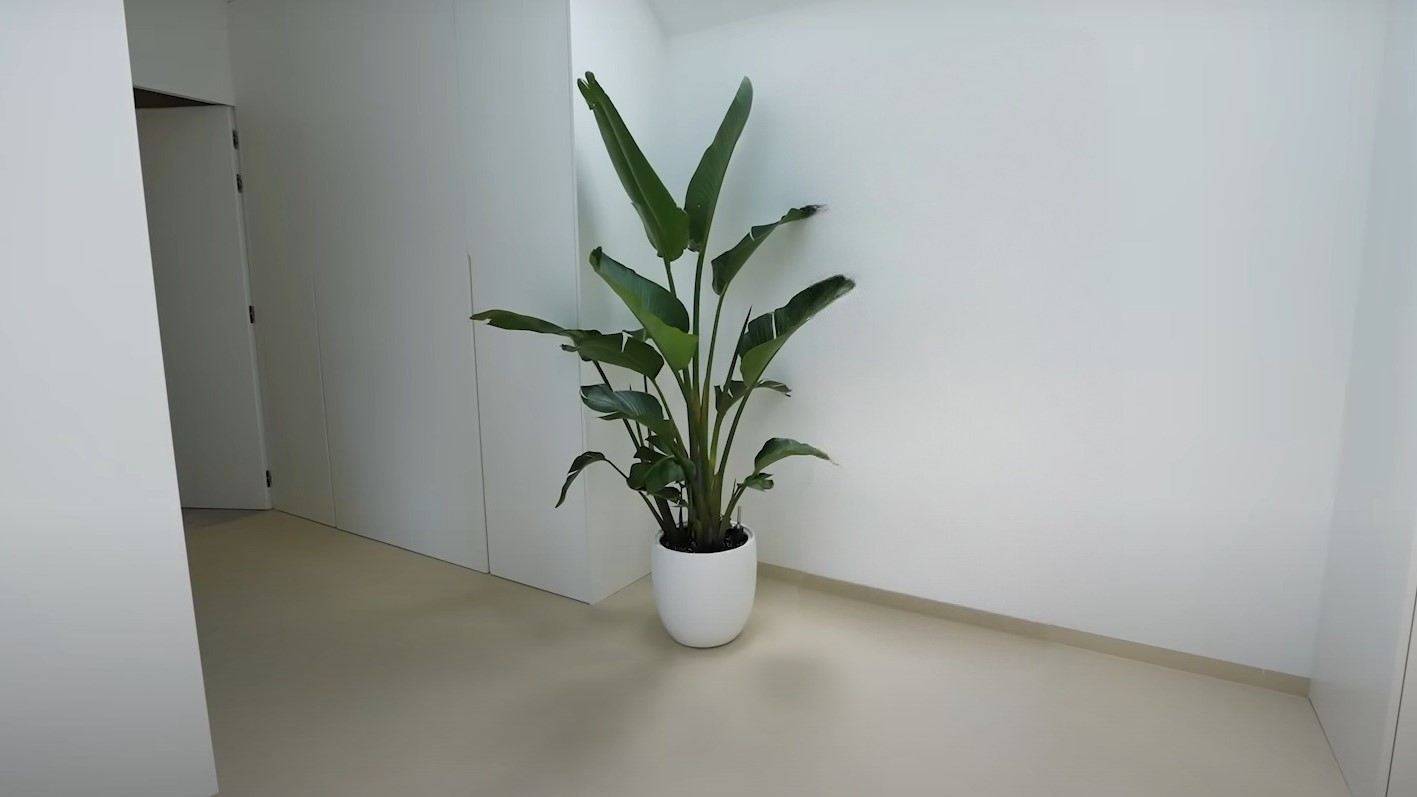 Modern Loft event space with large potted plant and minimalist design for meetings.