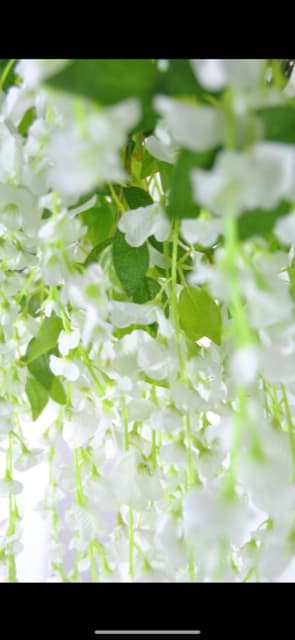 Delicate white flowers in EVE Studio, ideal for elegant weddings and events.