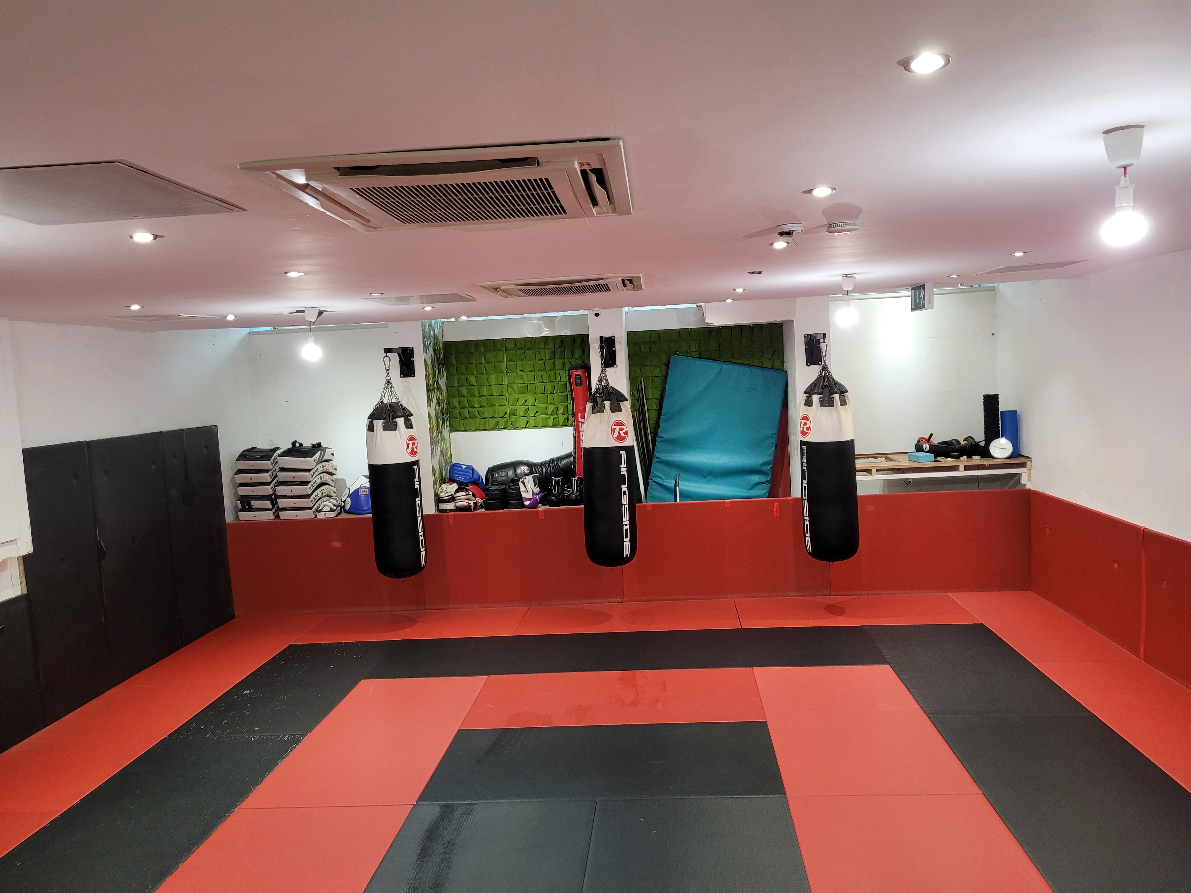 Martial Arts studio with padded floor, ideal for fitness workshops and classes.