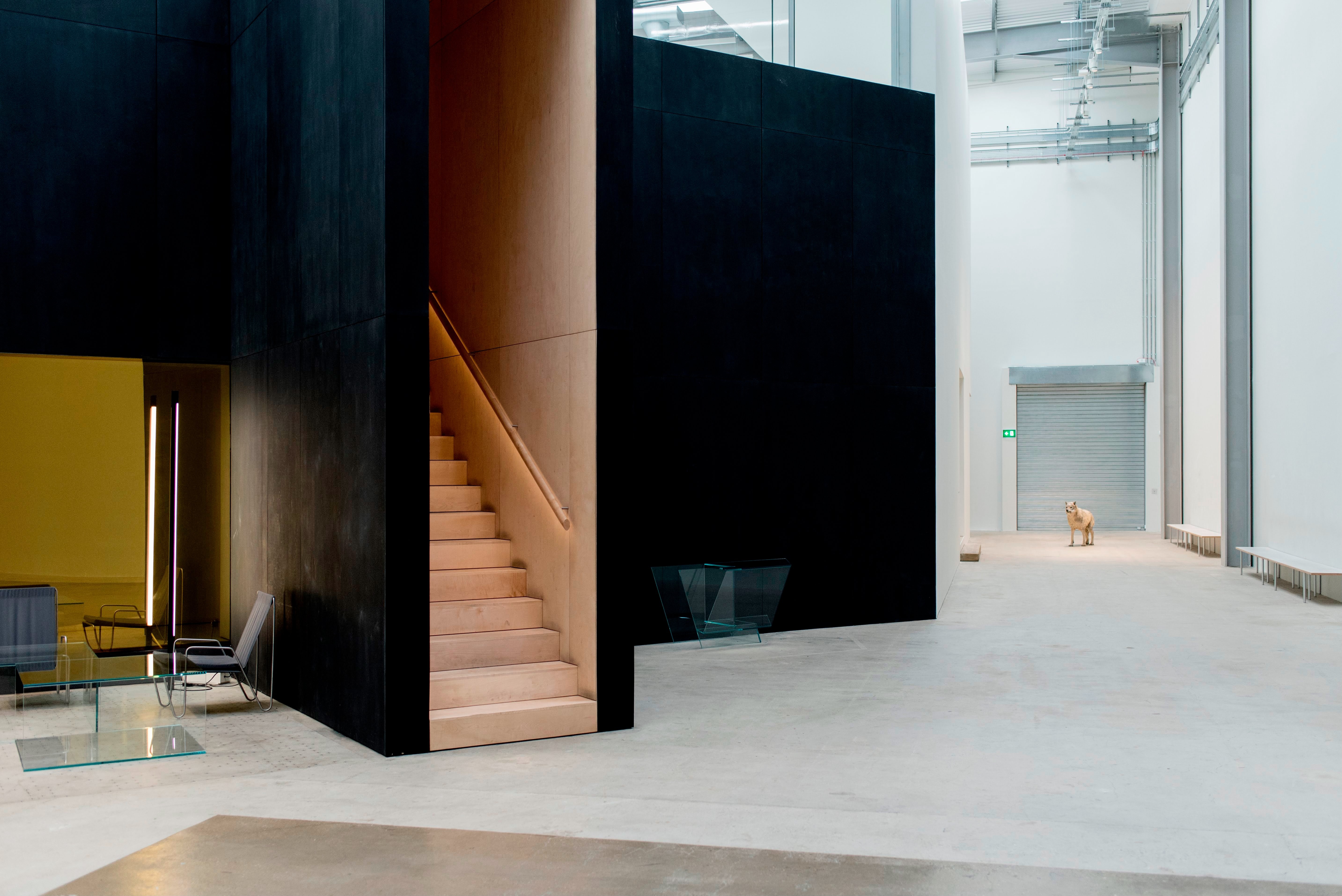 The Gallery - apvfrt4nd3t.jpg