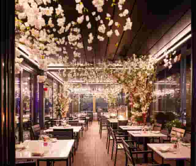 Private Dining room Terrace