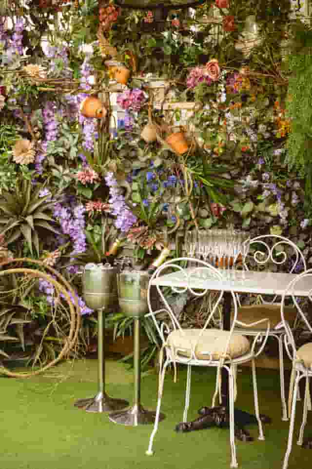Mr Fogg's Secret Garden
