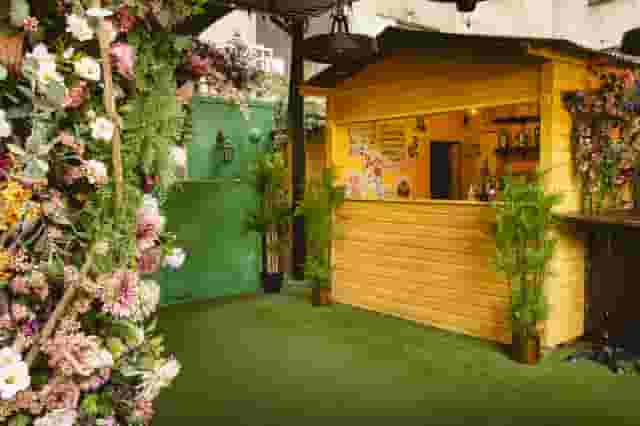 Mr Fogg's Secret Garden