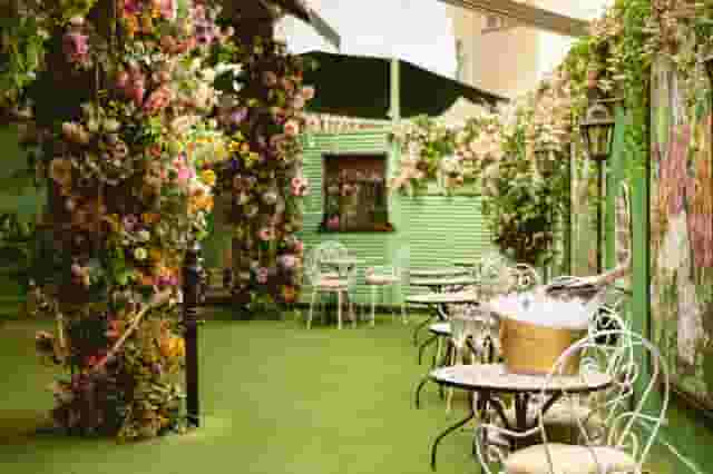 Mr Fogg's Secret Garden