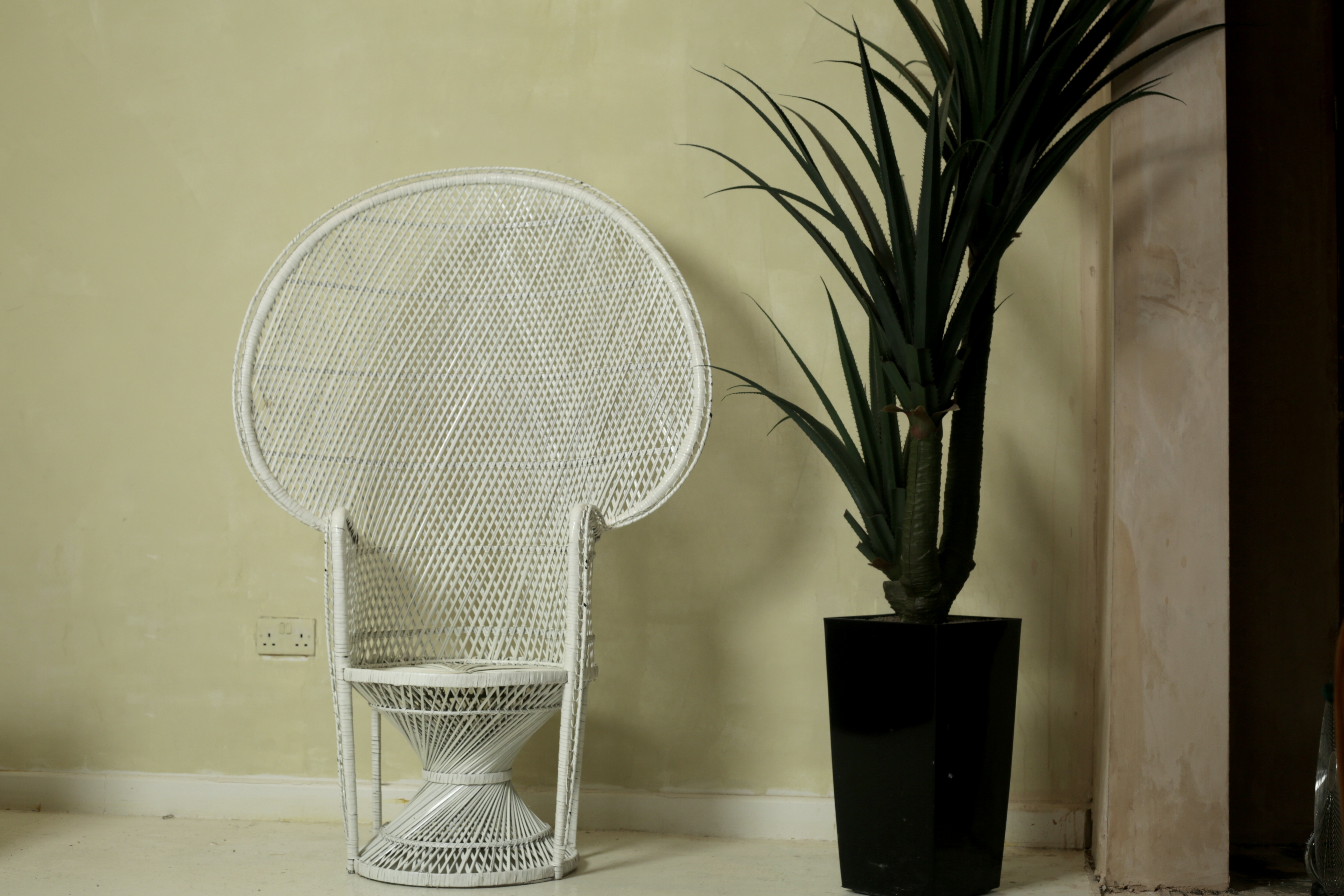 Stylish white wicker chair in minimalist meeting room for elegant gatherings.