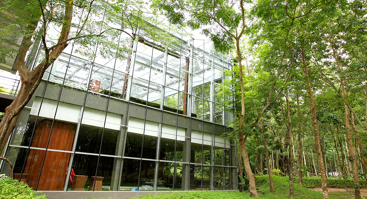 Pure Moon - peekf1c15fe.jpg