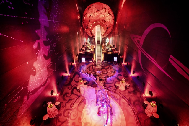 Earth Hall at Natural History Museum London, vibrant lighting for themed events.