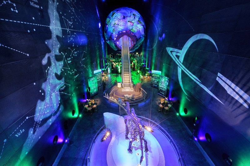 Earth Hall at Natural History Museum: globe centerpiece, dinosaur skeleton, corporate events.