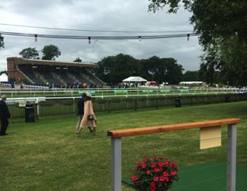 Newmarket Racecourse outdoor venue with lush grass, ideal for corporate events and gatherings.