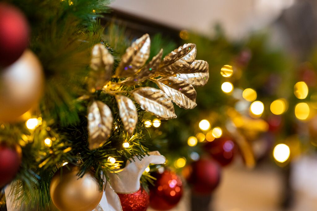 Senate House Christmas parties - 0333utzm251.jpg