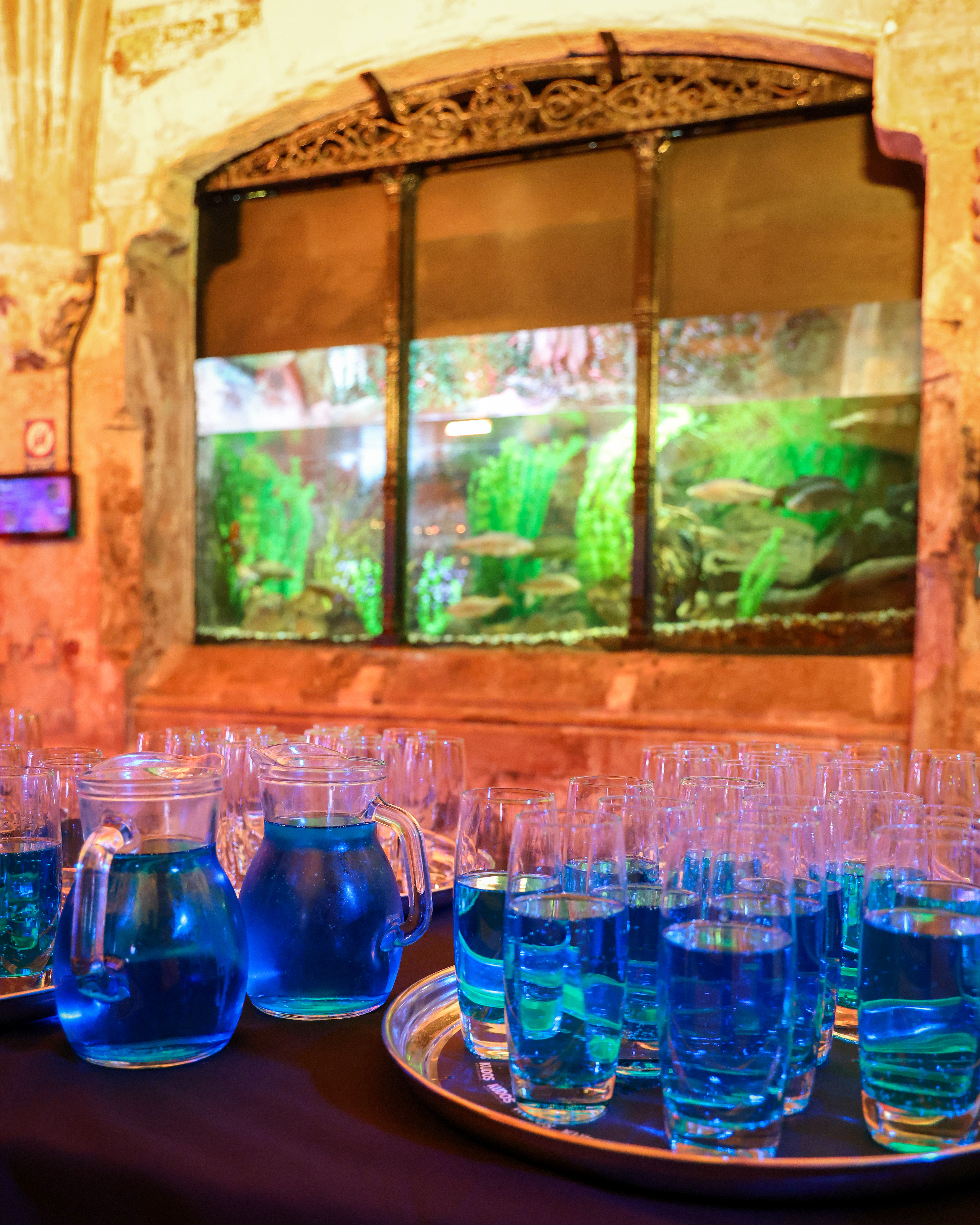 Whole Venue - d3enkttbgii.jpg