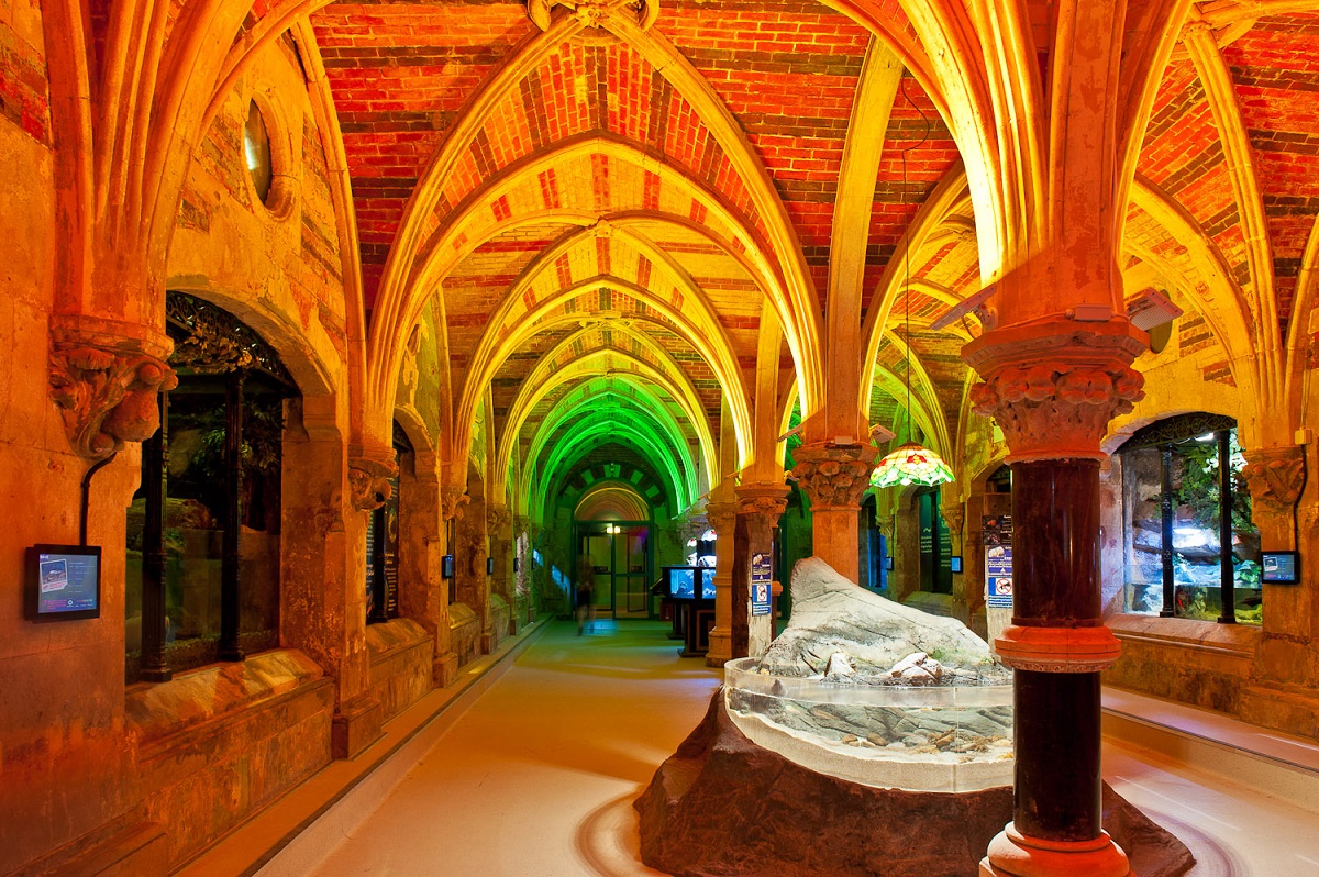 Whole Venue at SEA LIFE Brighton Aquarium with vaulted ceilings, perfect for events.