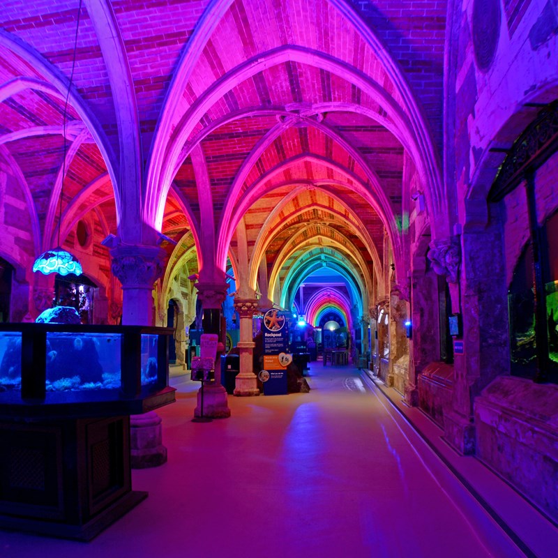 Vibrant SEA LIFE Brighton venue with rainbow arches for creative events and gatherings.