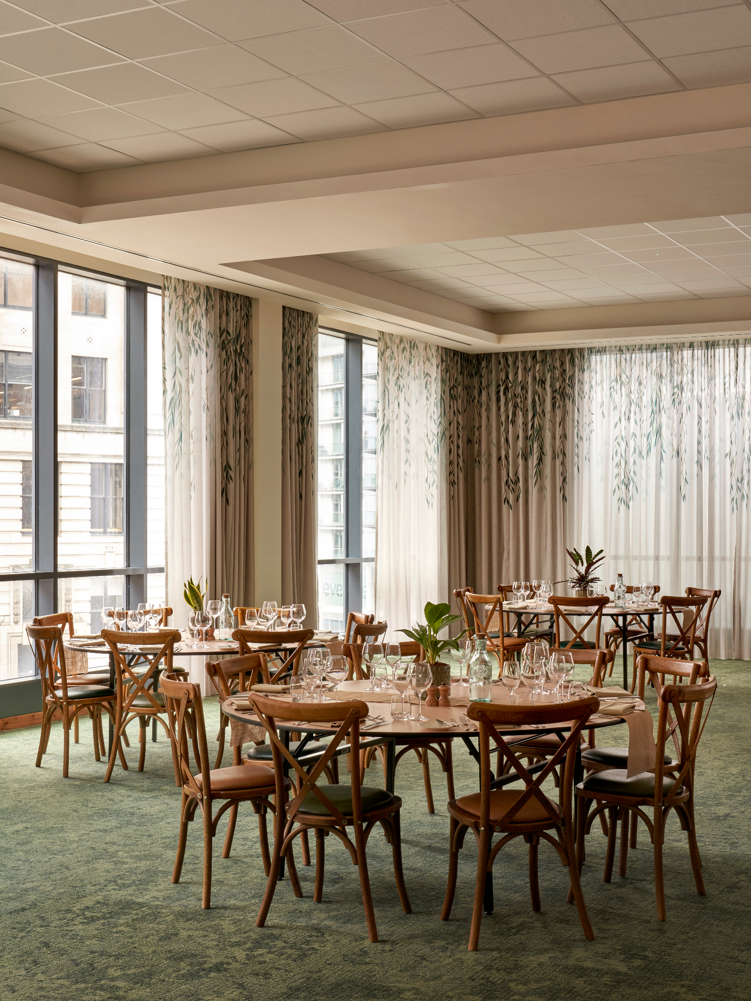 Willow - 1rqe15wxd4s.jpg