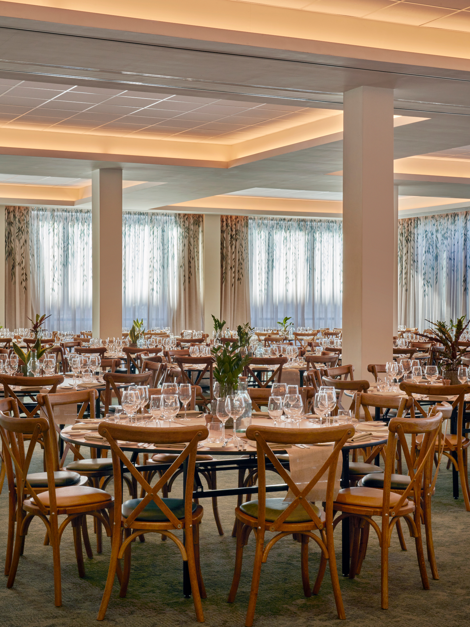 Willow - vniusikoy5e.jpg