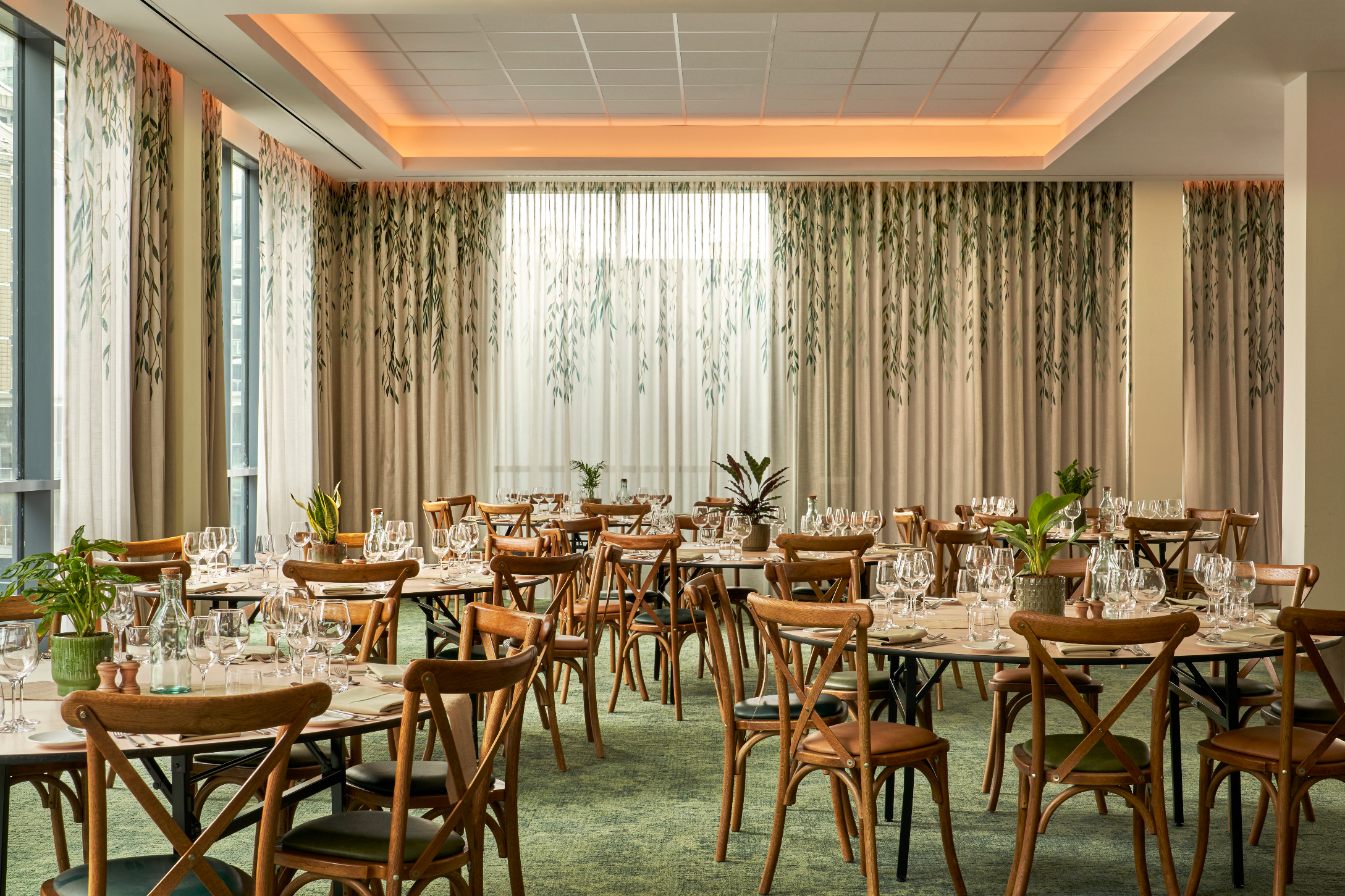 Willow - i4a1hu3jt2g.jpg