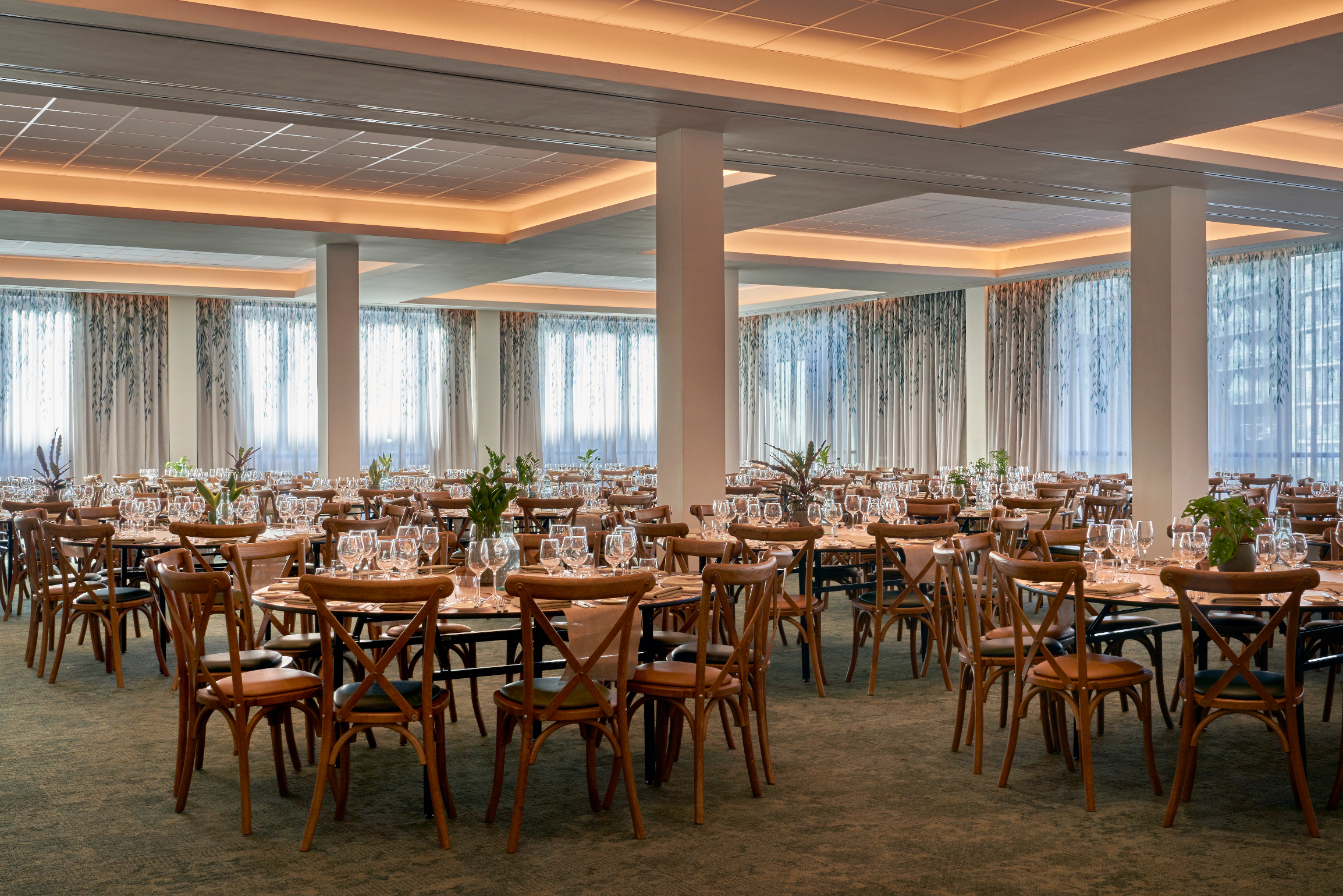 Willow - l1ifkjqxbsv.jpg