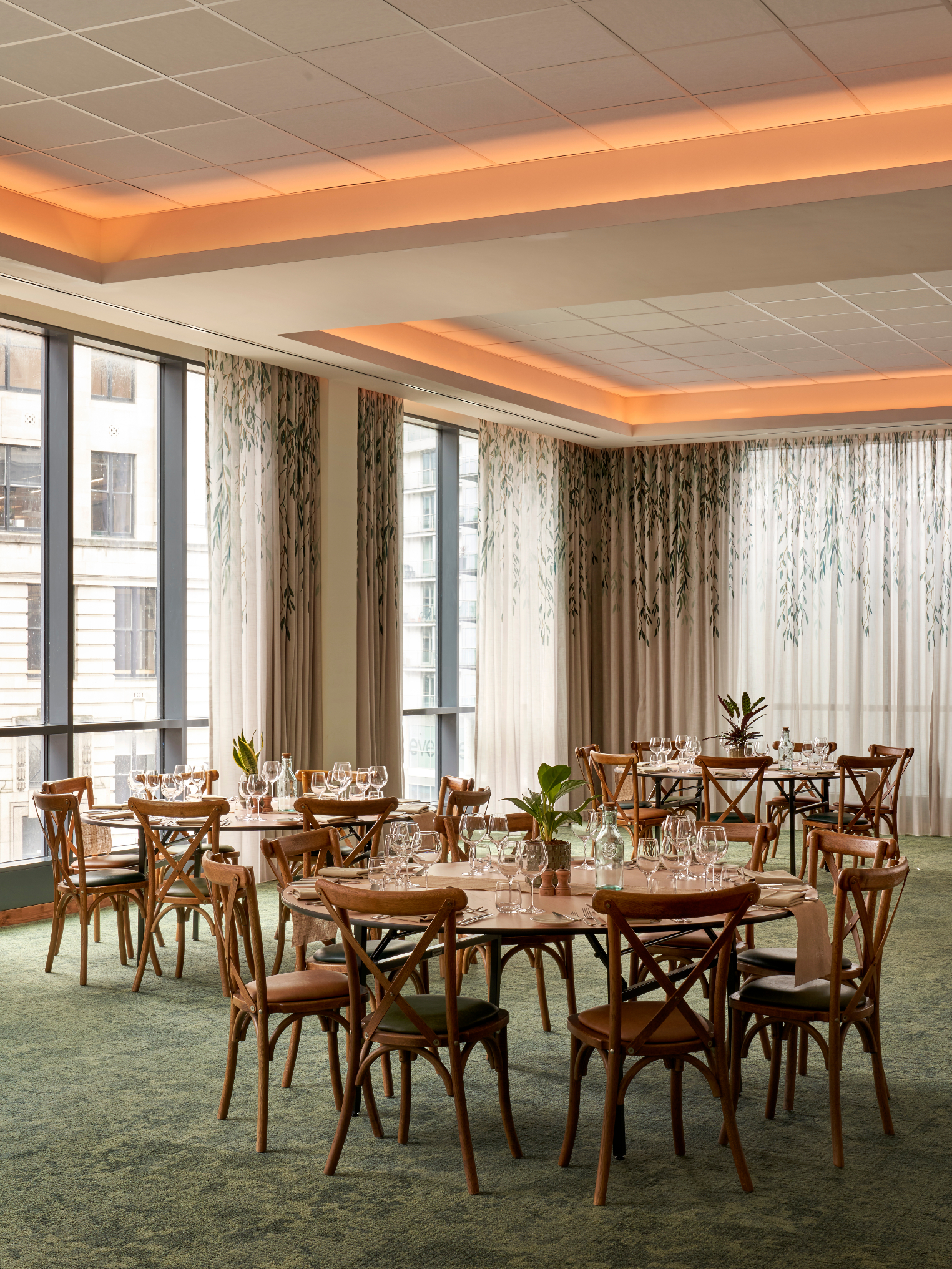 Willow - oqblc3tgzmd.jpg