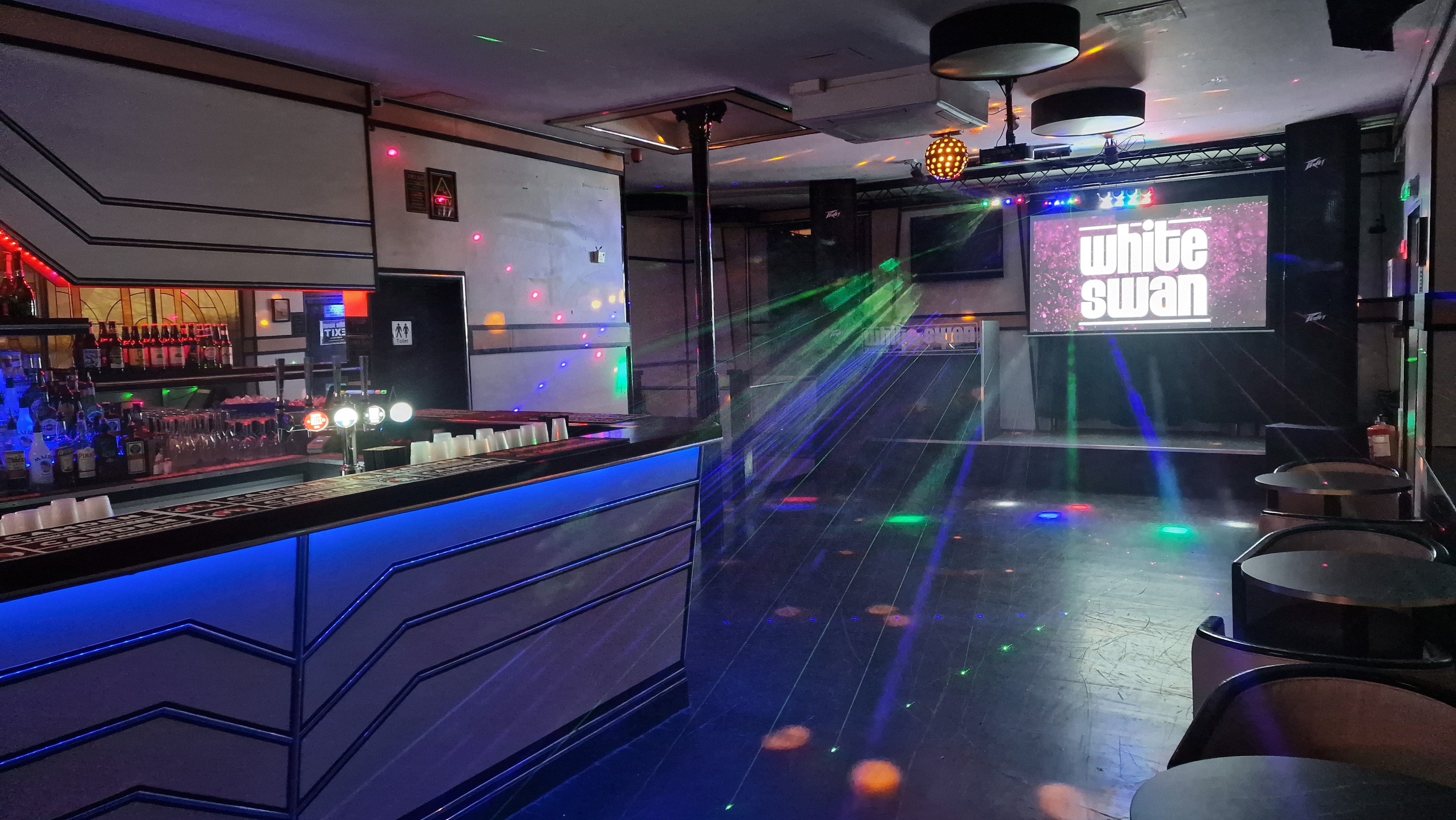 The White Swan - image 7