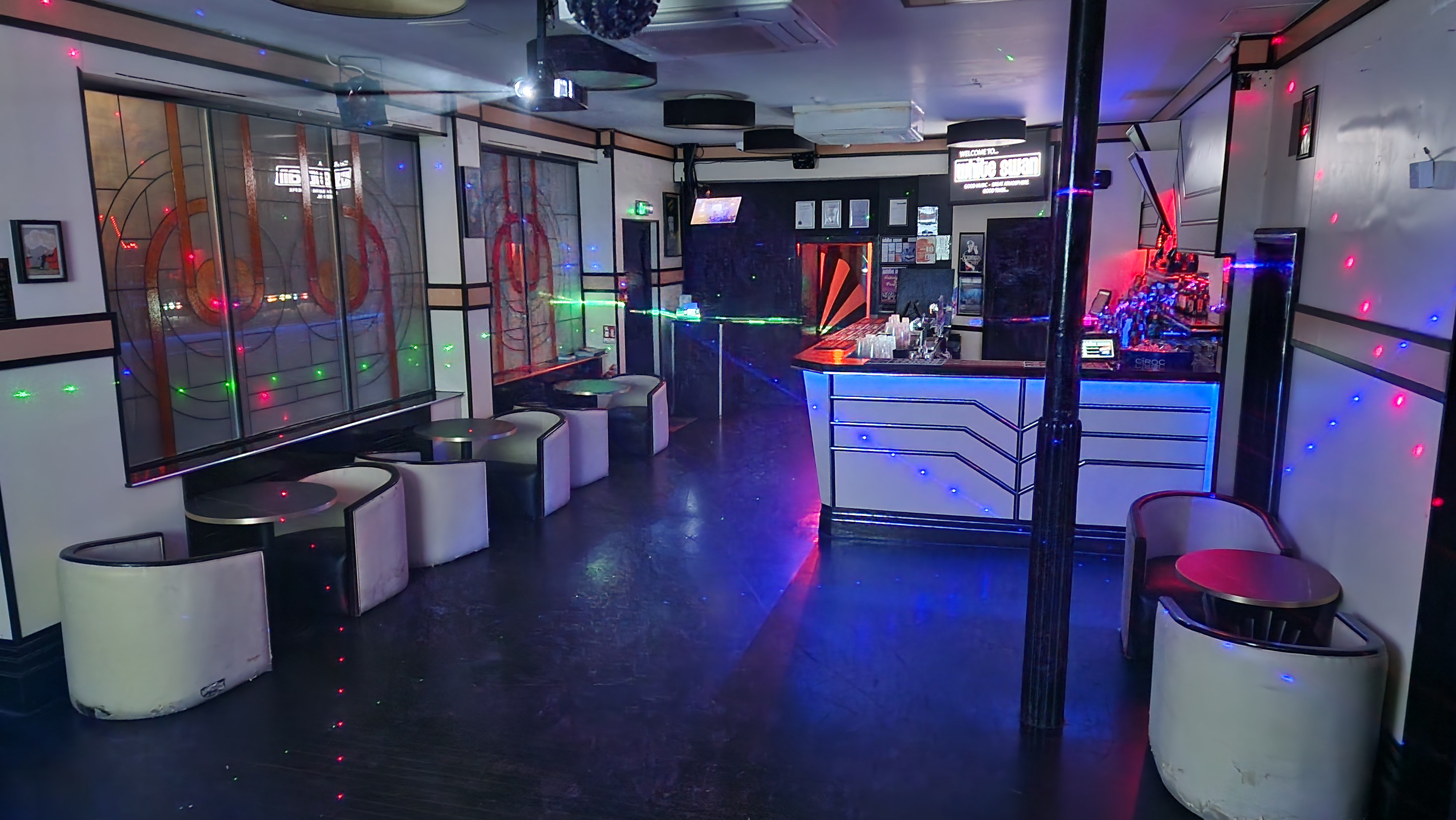 The White Swan - image 2