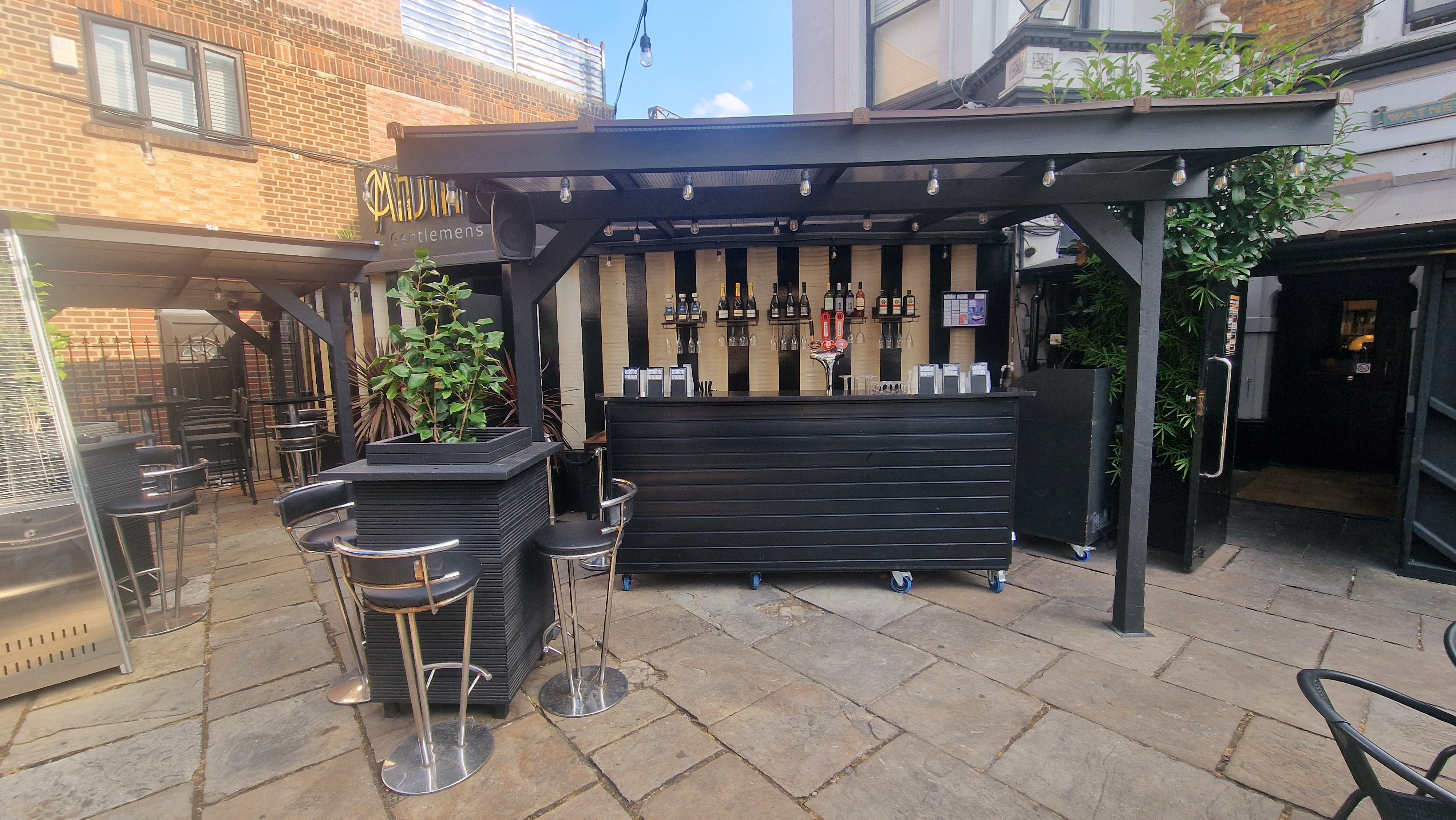 The White Swan - image 10