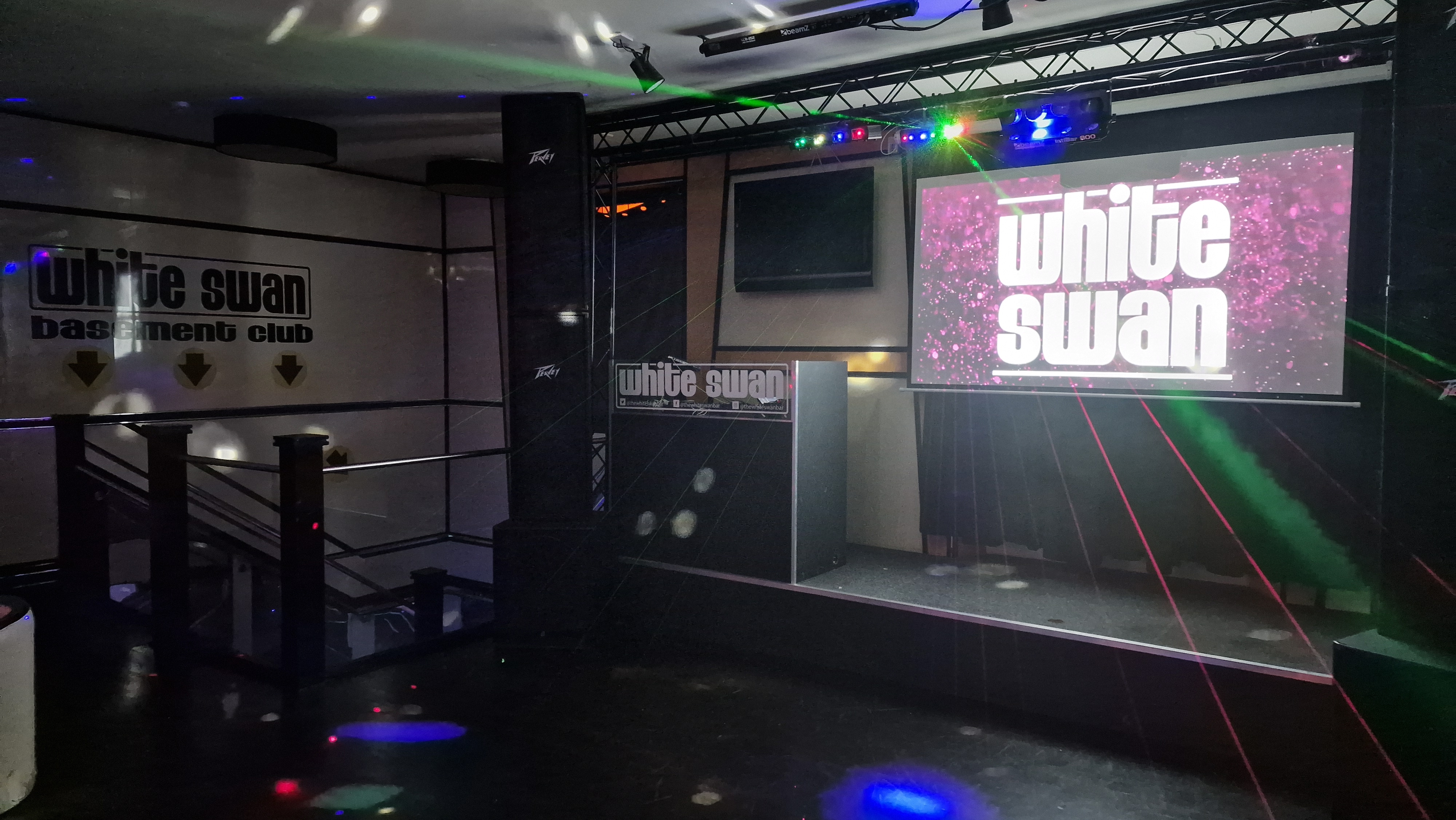 The White Swan - image 3