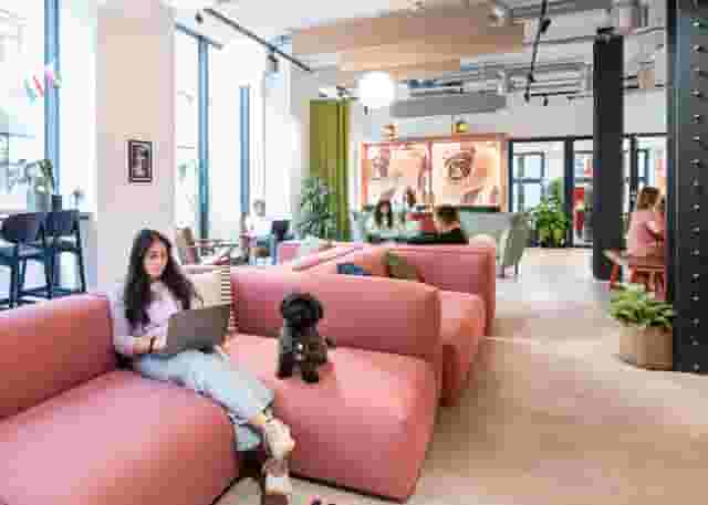 The Lounge