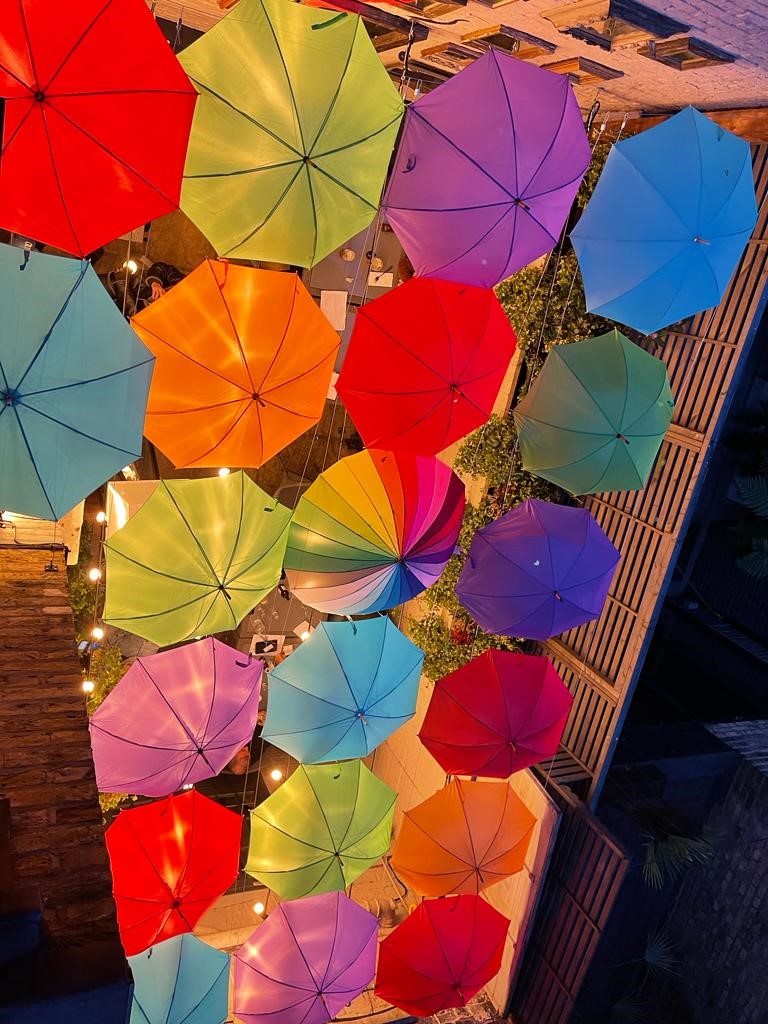 The Princess of Wales - image 6