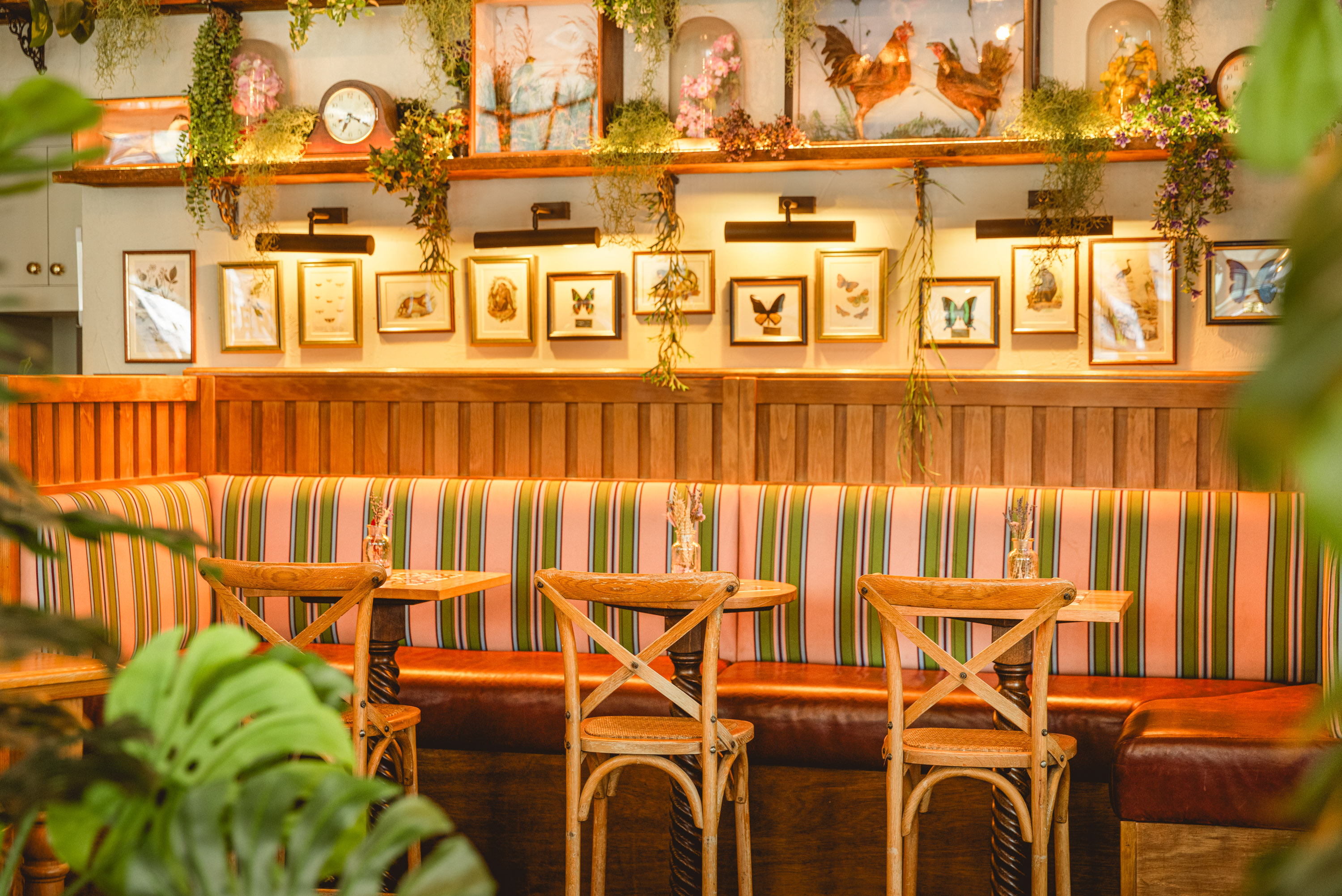 Full Venue Hire - Mr Fogg's Botanical Tavern & Treehouse - uswuryxc54j.jpg